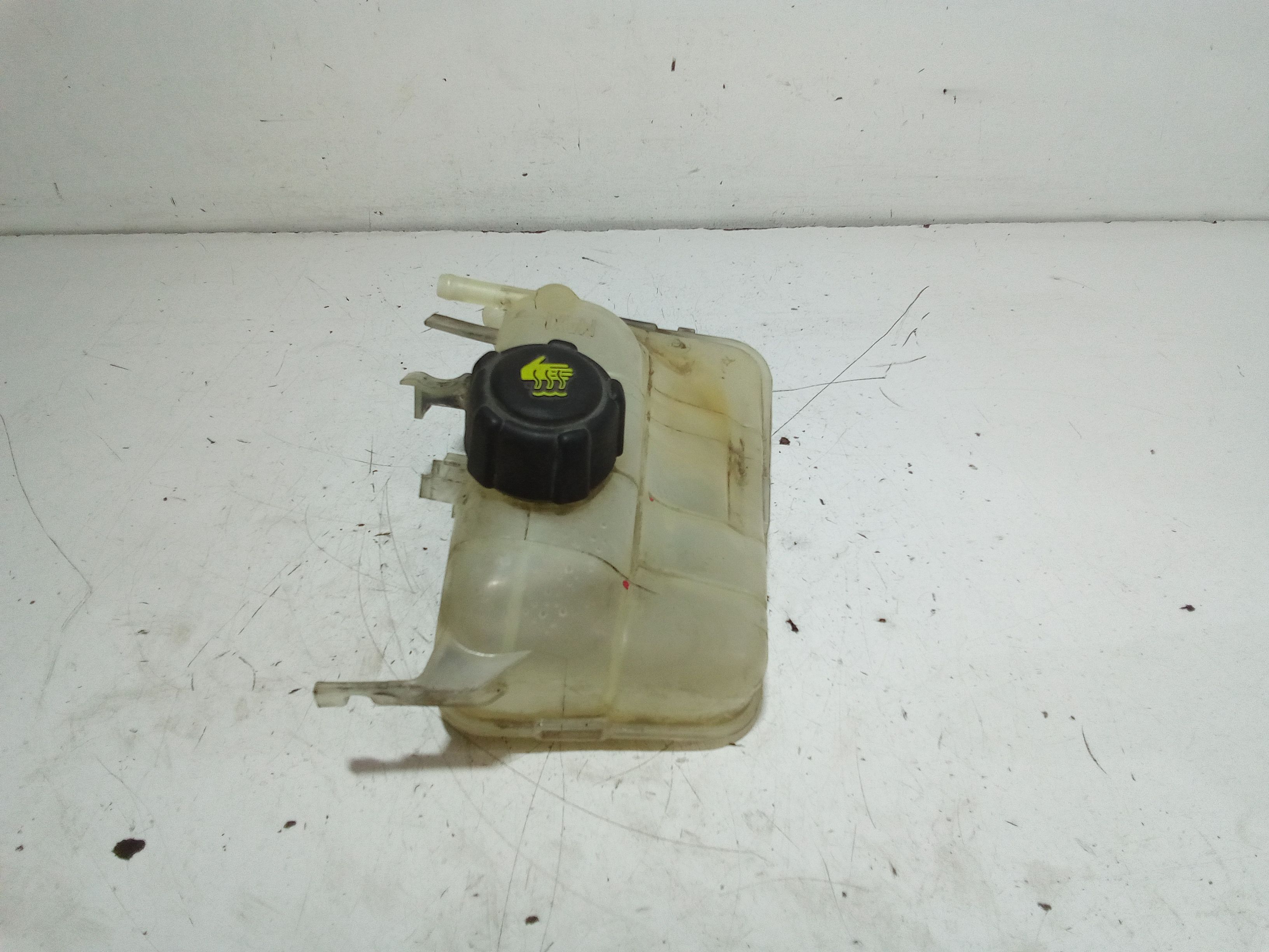 Vaschetta Compensazione Radiatore 217100005R Usato