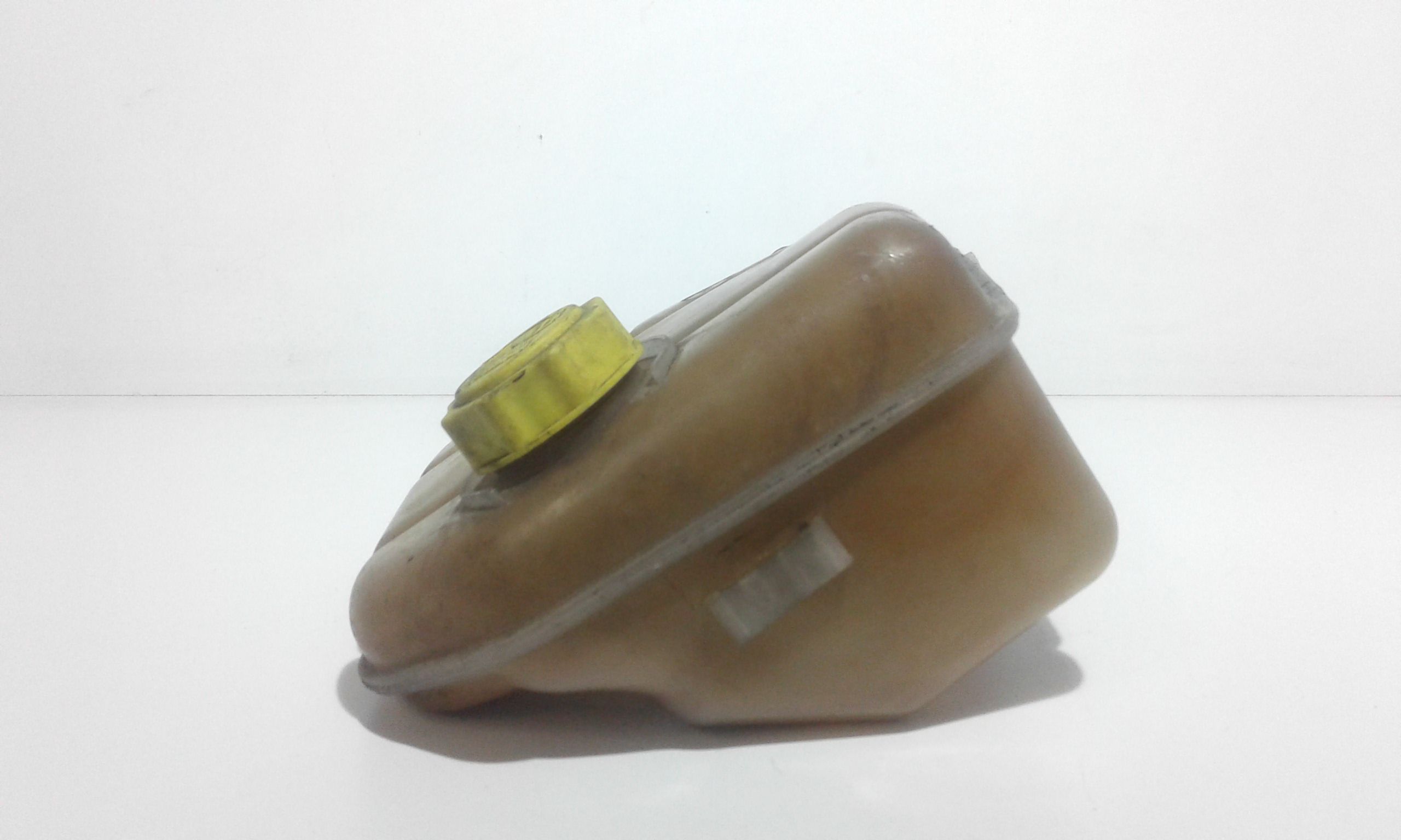 Vaschetta Compensazione Radiatore Usato