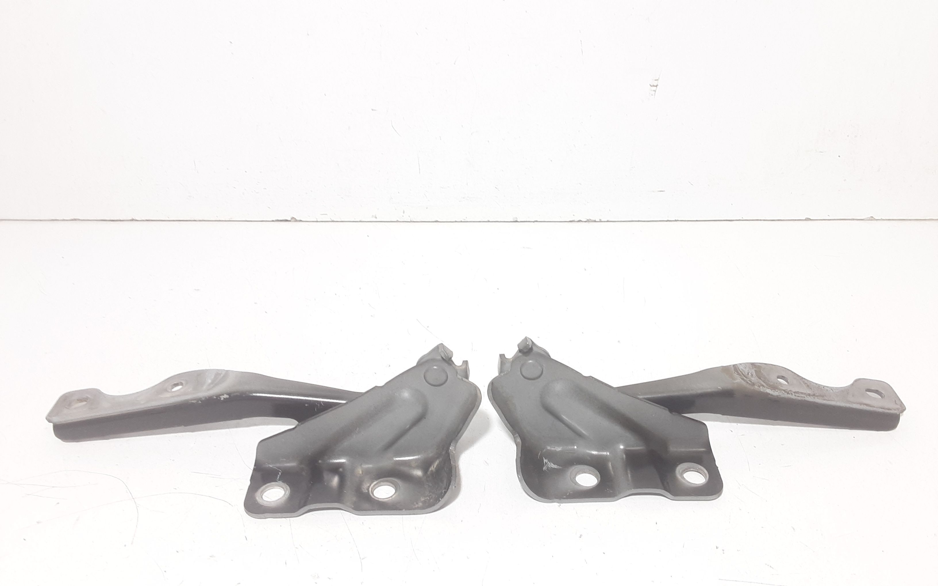 Cerniera Cofano Ant. Sinistro DFR552420 Usato