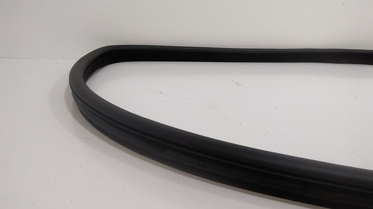 Guarnizione Porta Ant. Usato