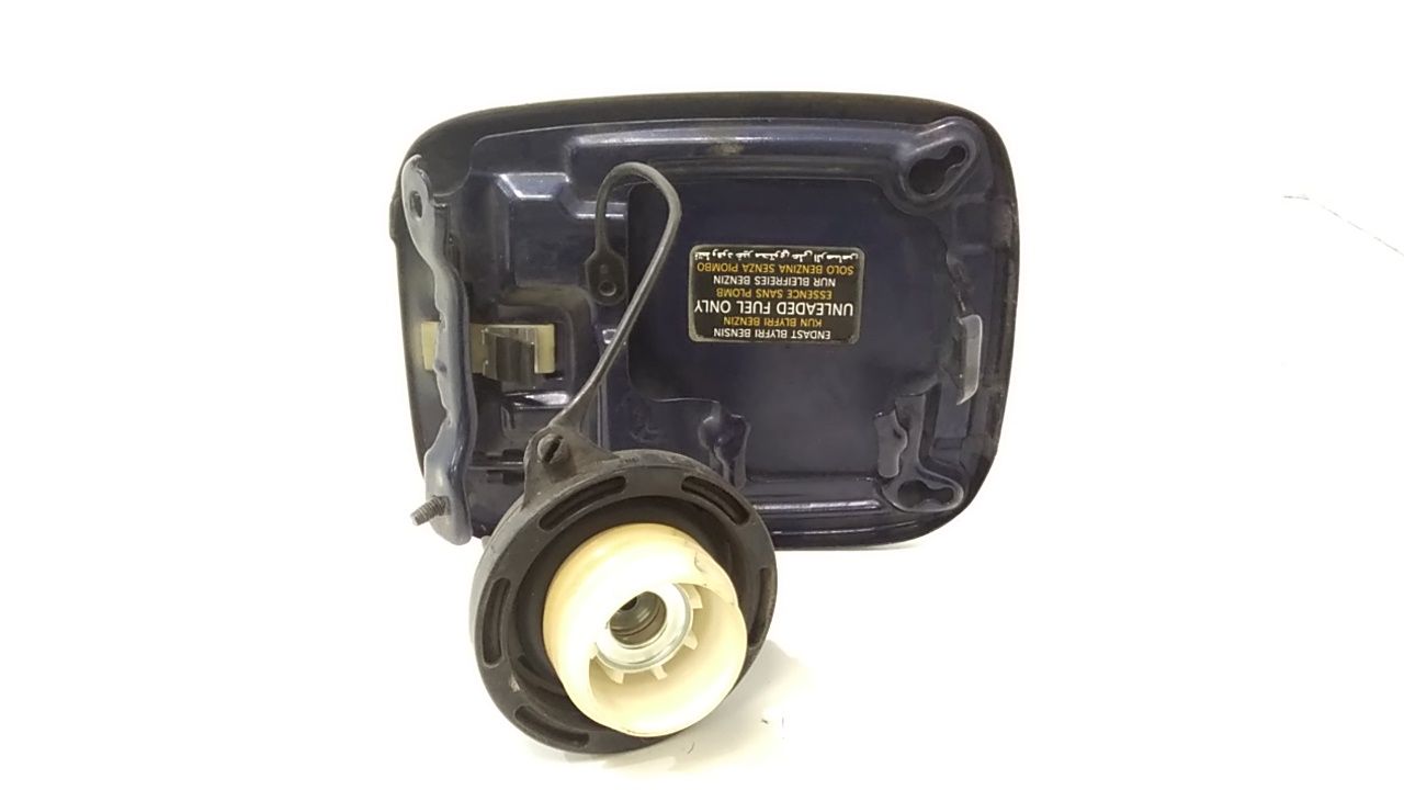 Sportello Carburante 695100X000 Usato