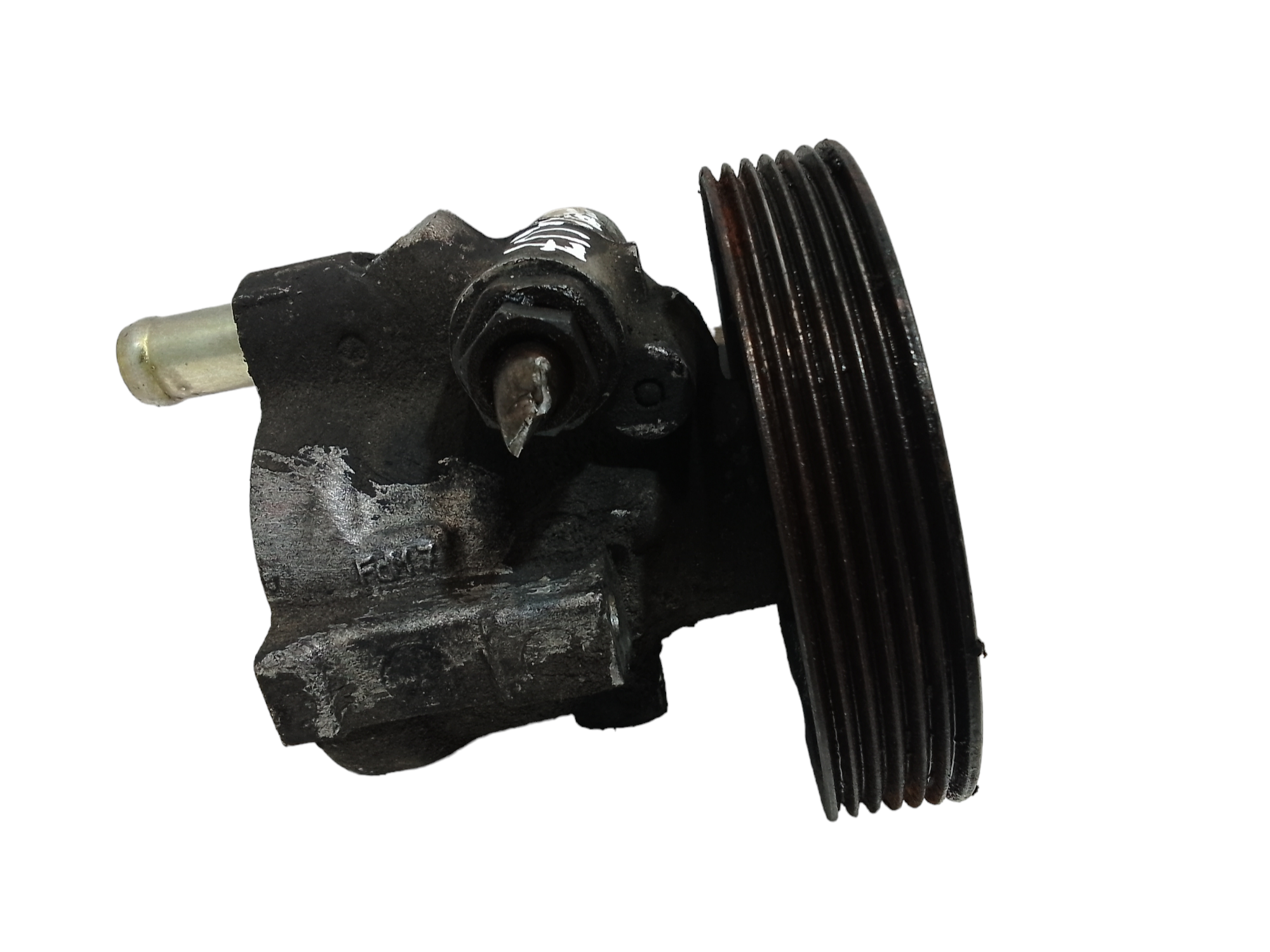 Pompa Servosterzo 491100980R Usato