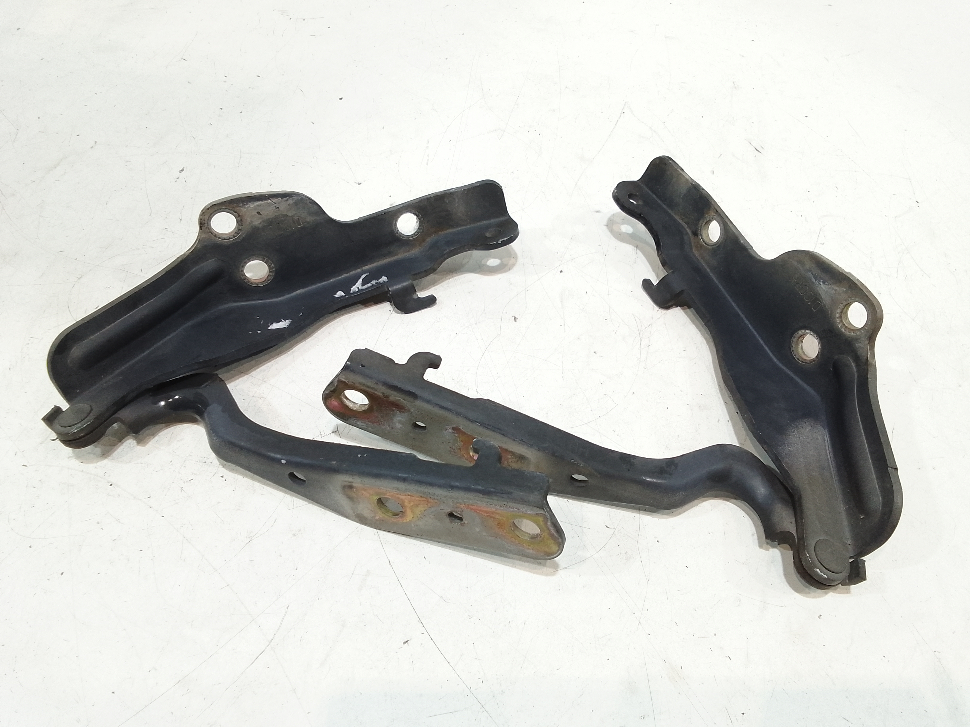 Cerniera Cofano Ant. Sinistro 6181031001 Usato