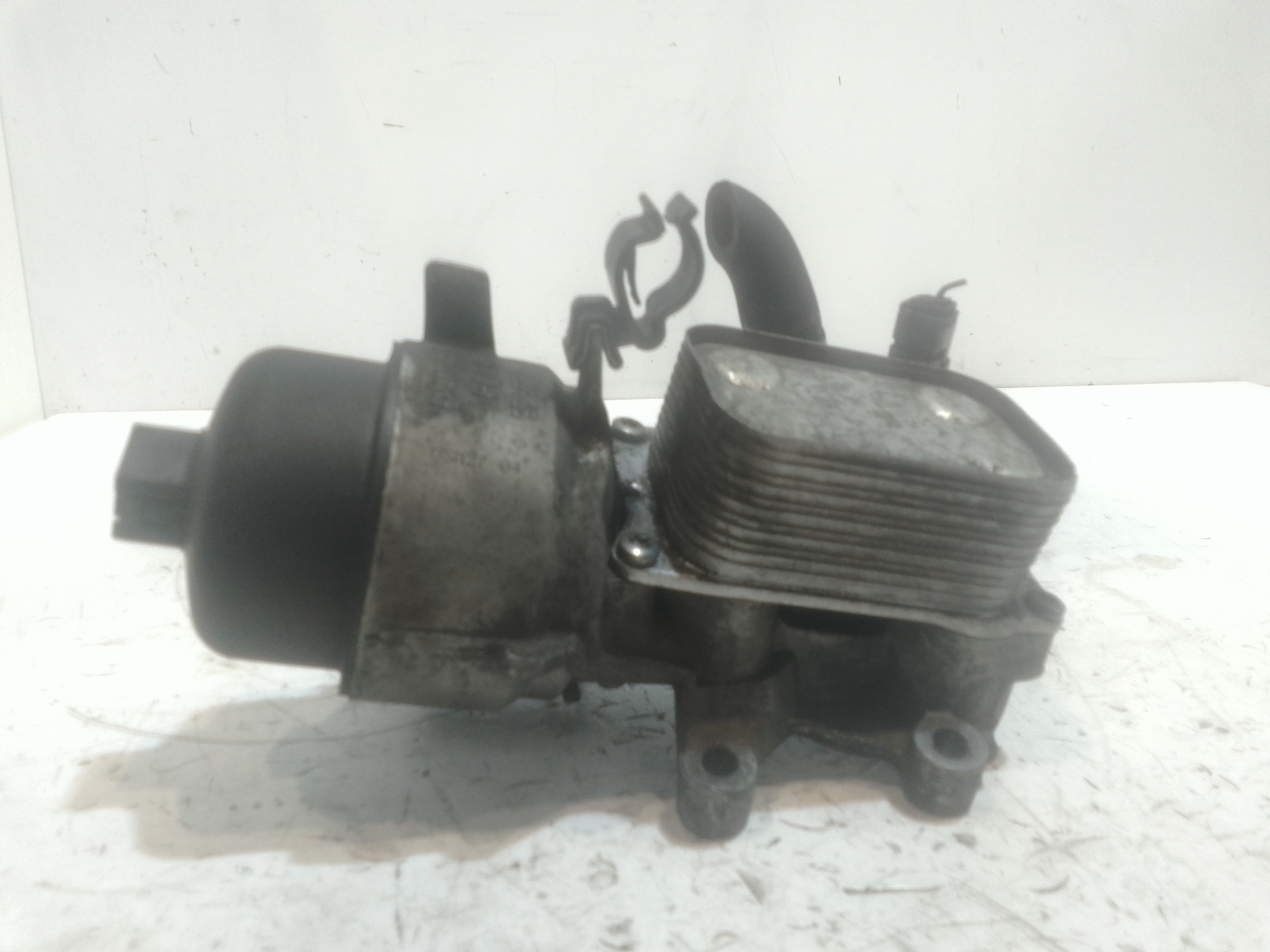 Scambiatore Calore Olio Motore, Scambiatore Calore Egr Usato