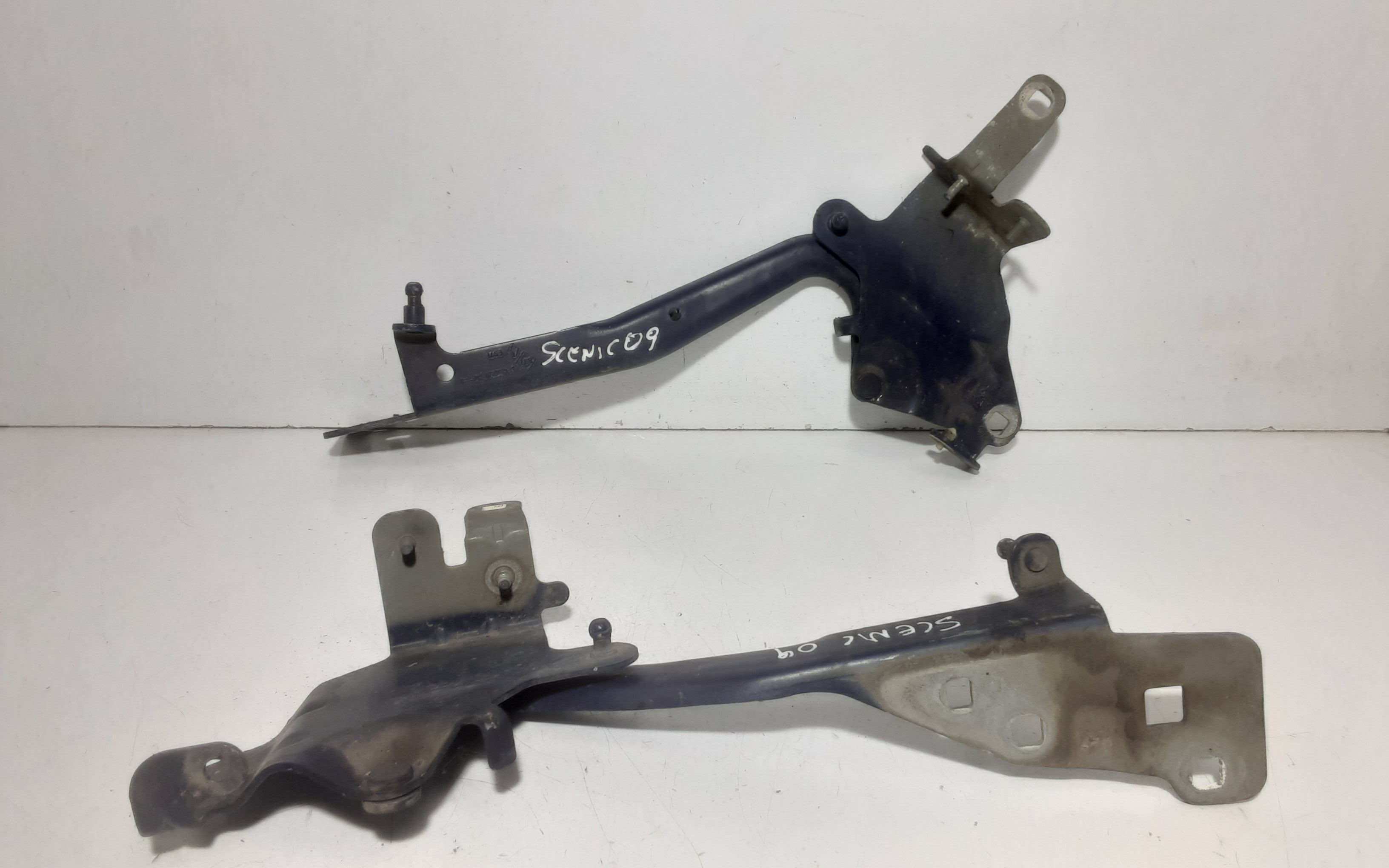 Cerniera Cofano Ant. Sinistro 654012134R Usato