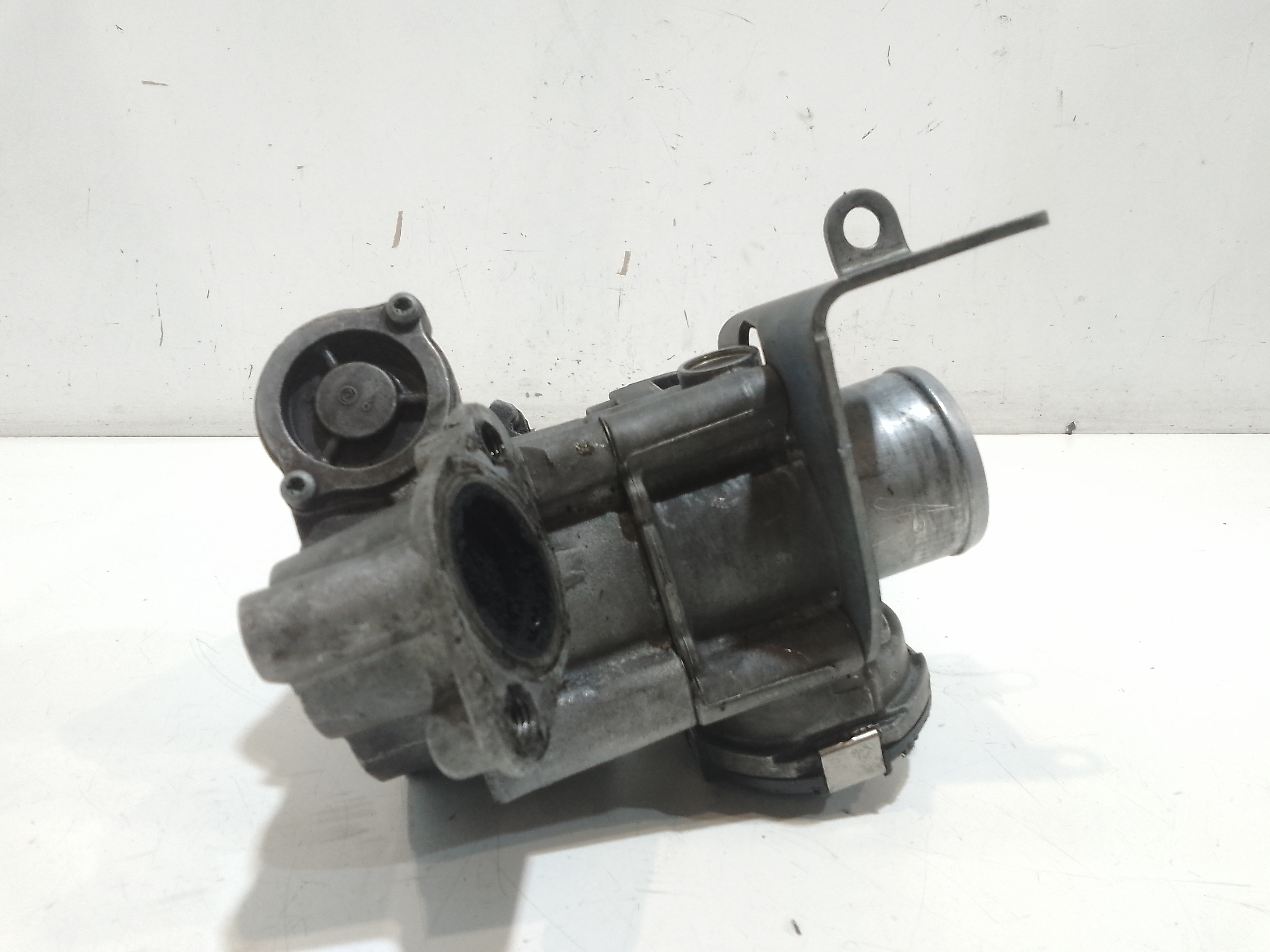 Corpo Farfallato Usato