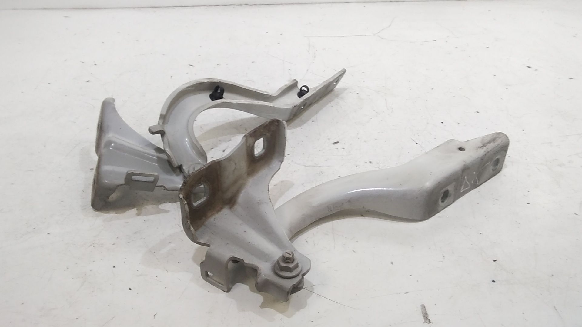 Cerniera Cofano Ant. Sinistro 51940500 Usato