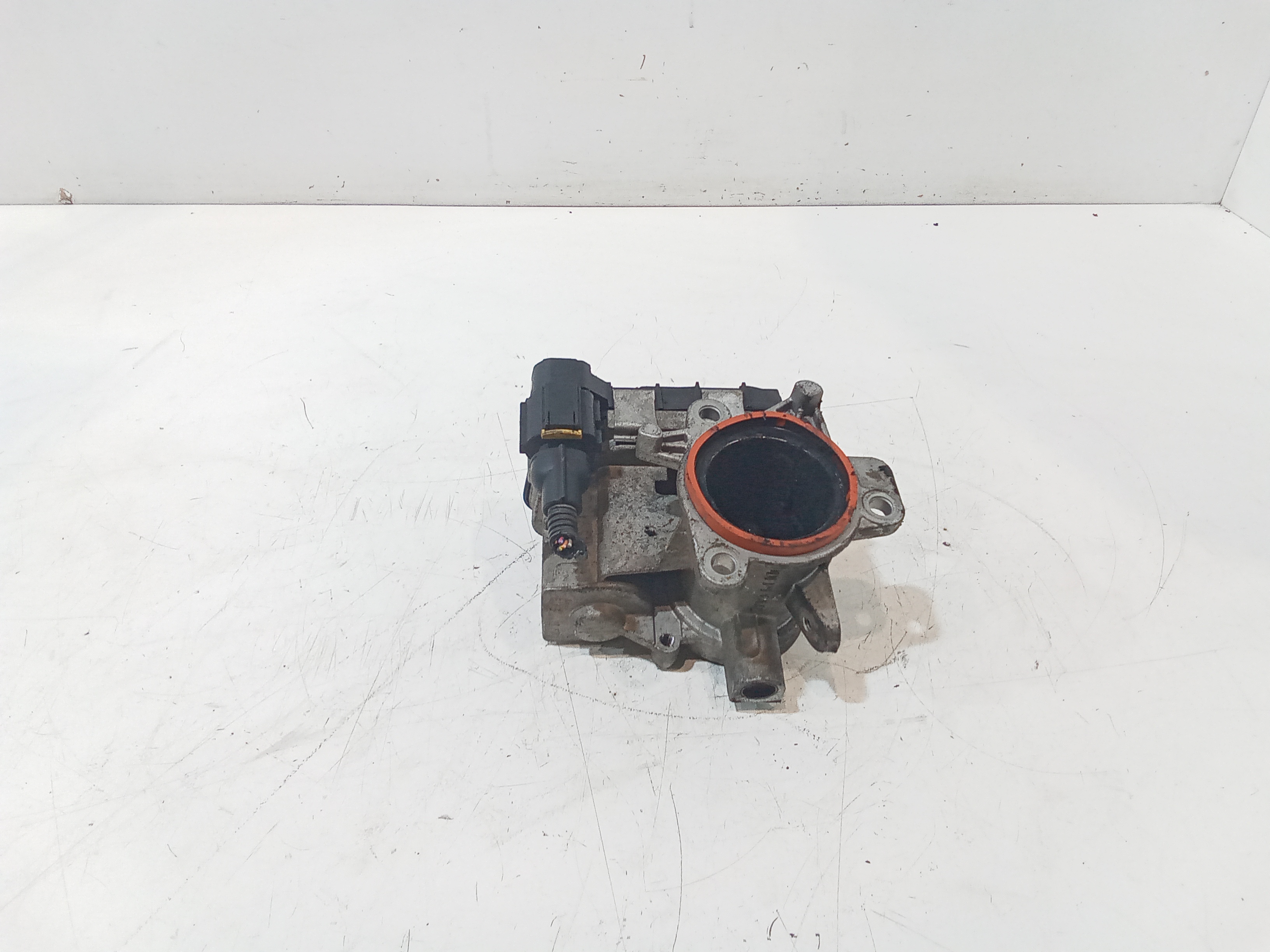 Corpo Farfallato 71787554 Usato