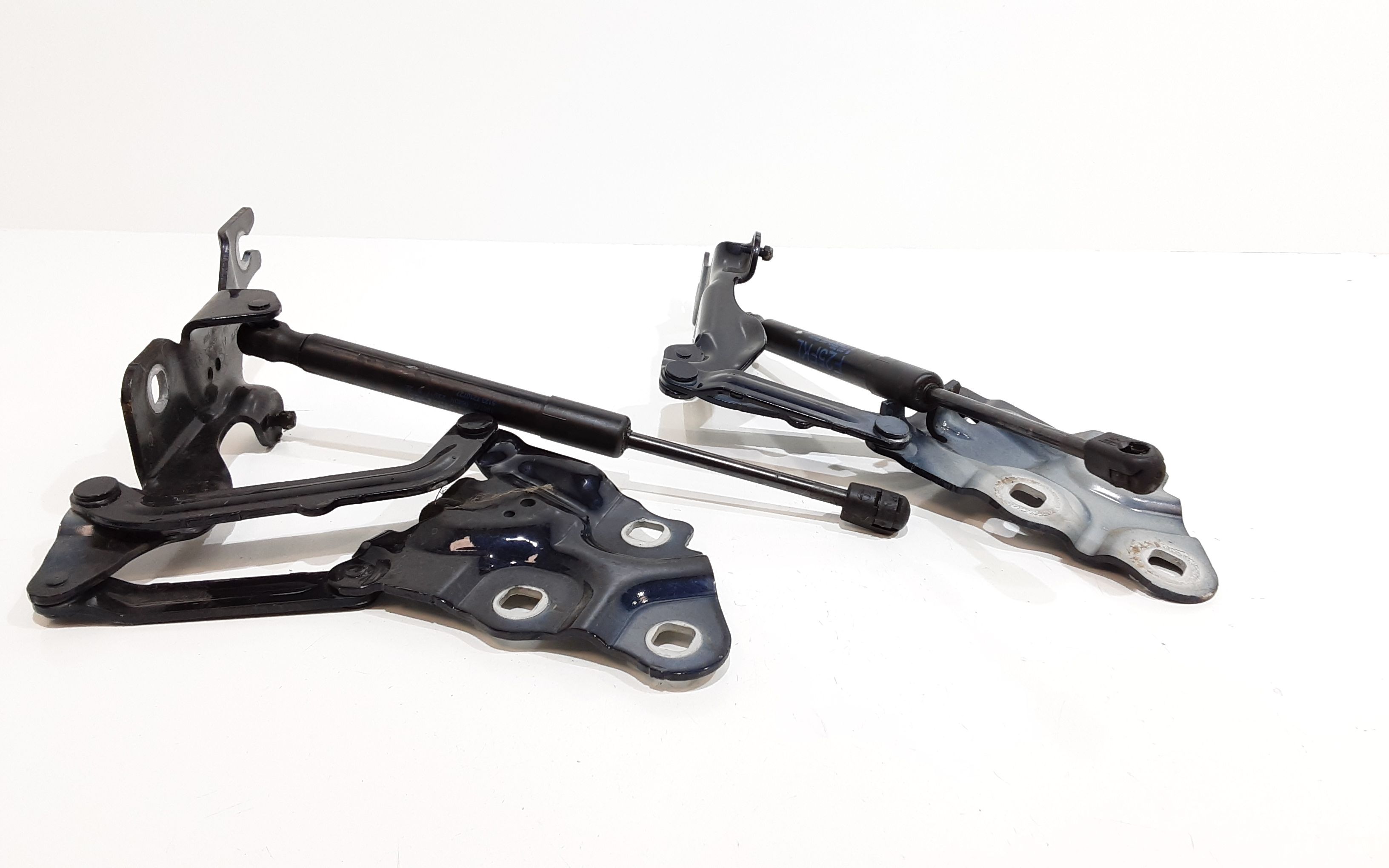 Cerniera Cofano Ant. Sinistro 41617262875 Usato