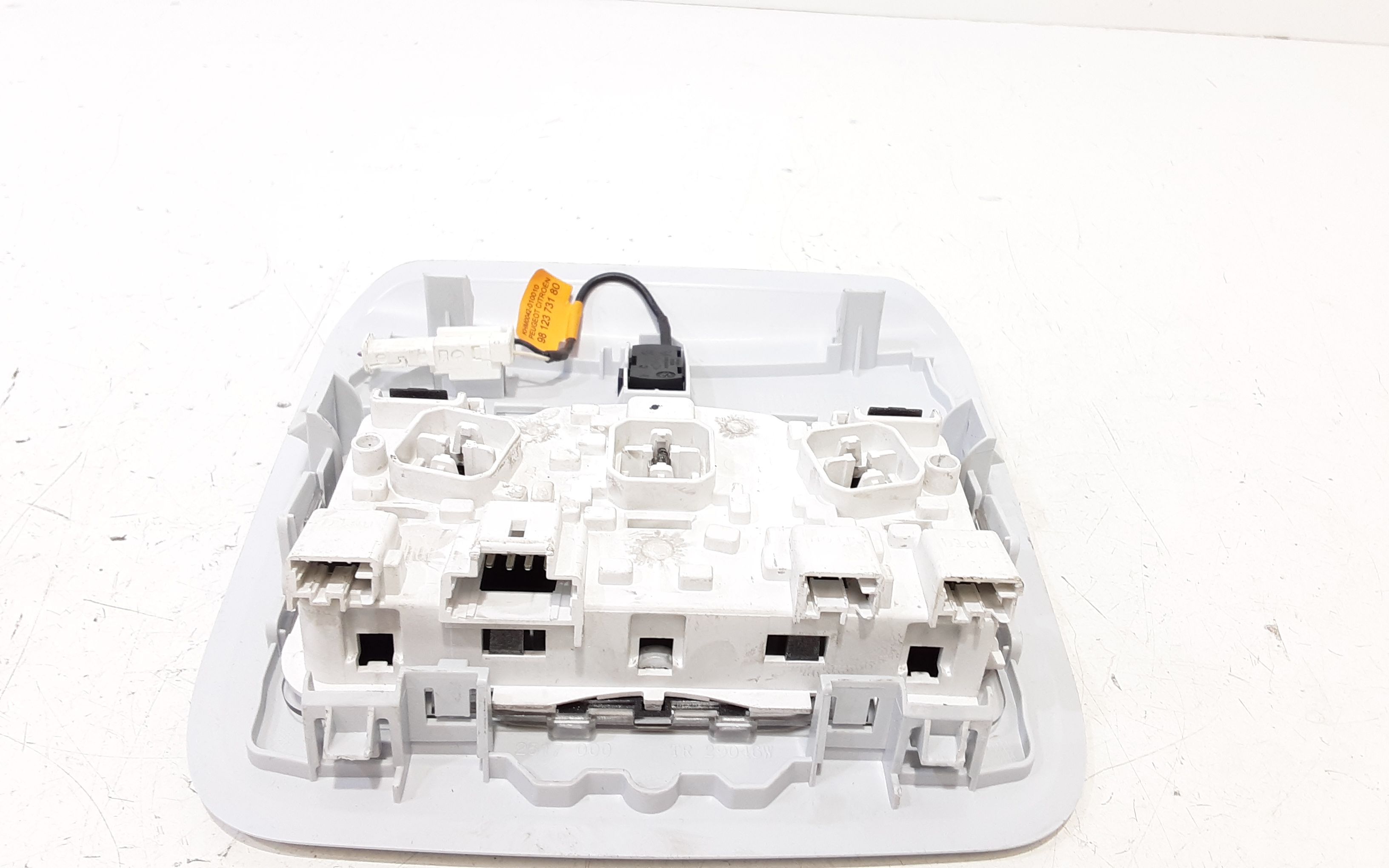 Luce Cortesia Ant. Tetto 96754056PR Usato