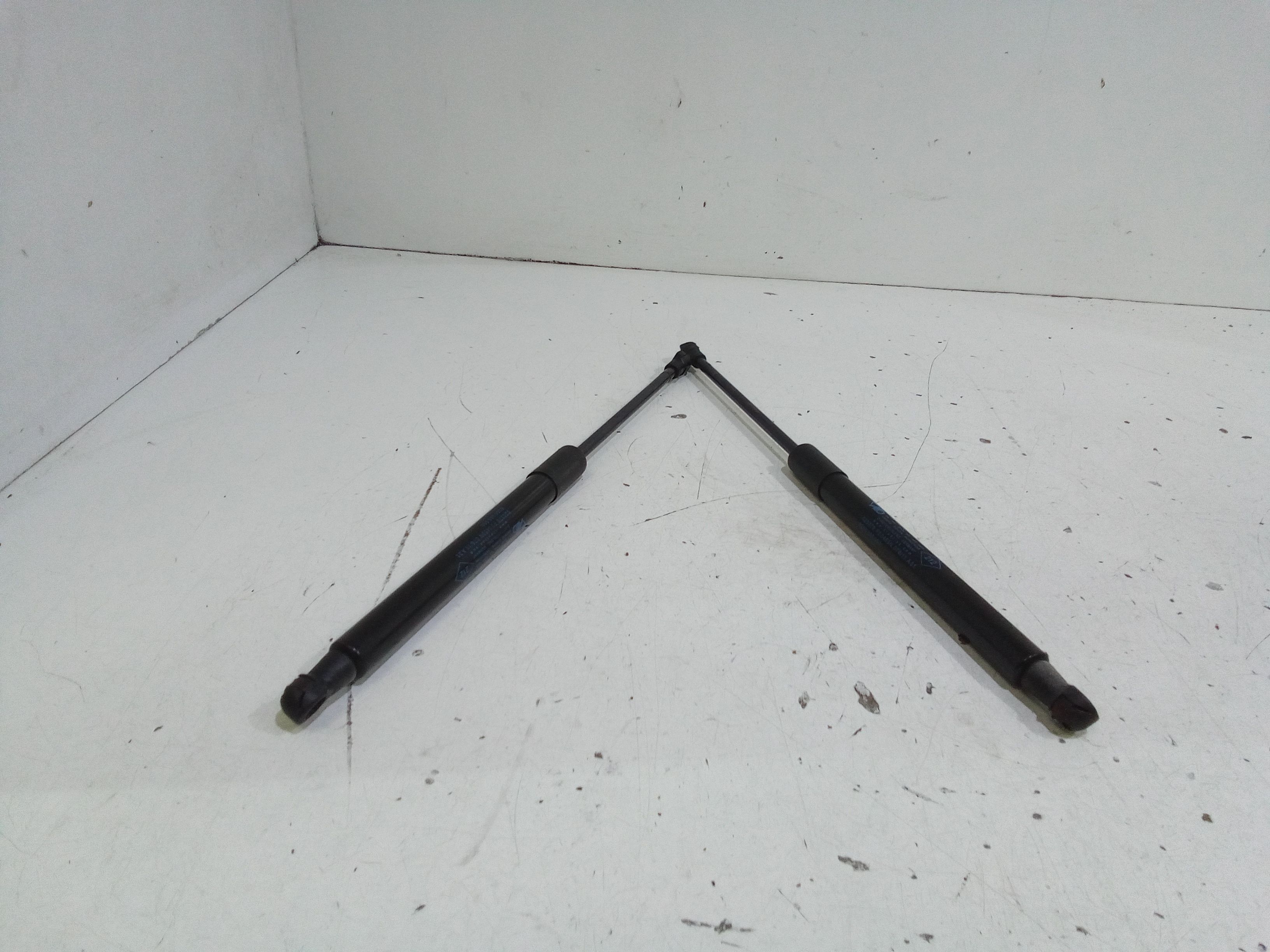 Cerniera Cofano Post. Destro Usato