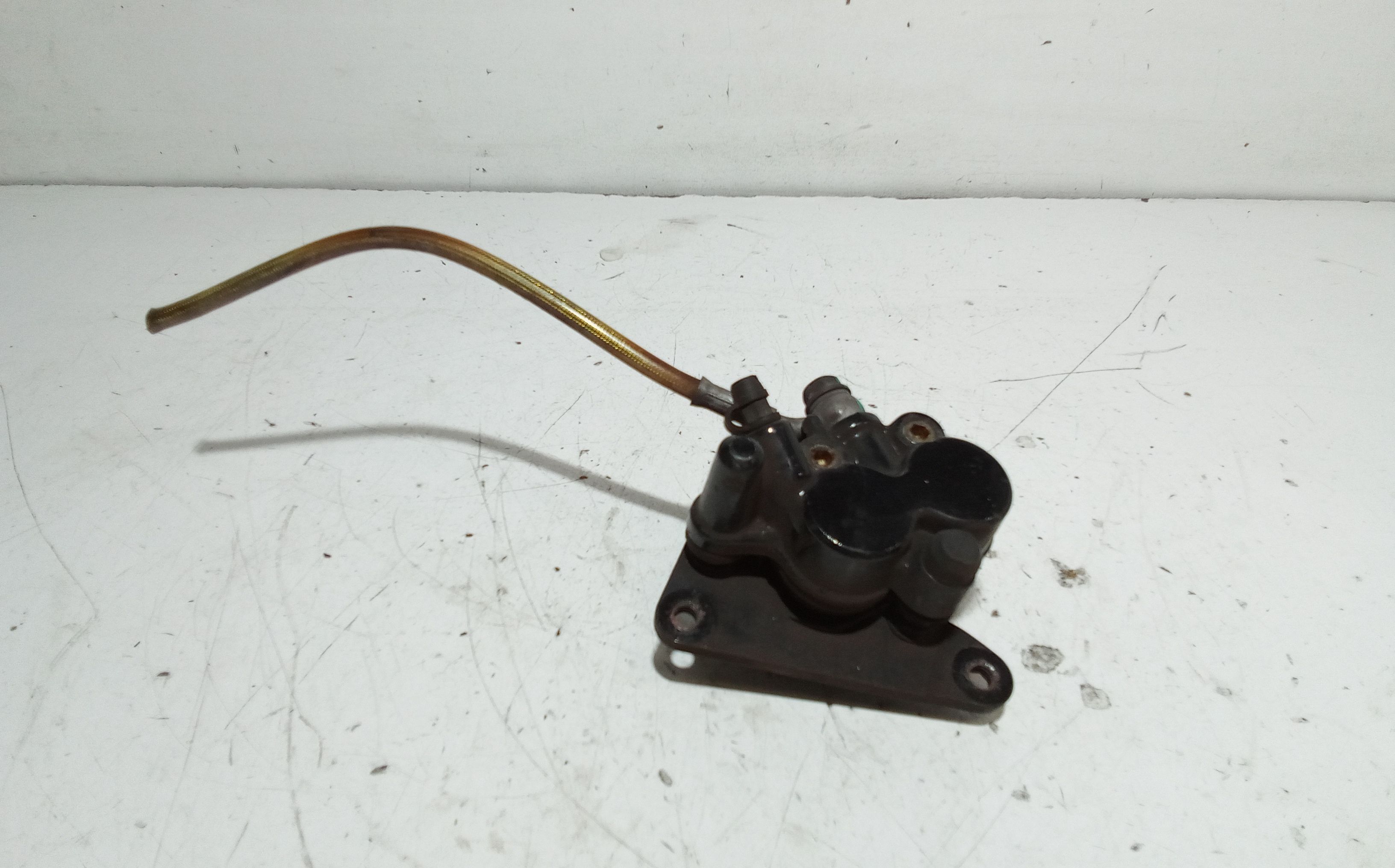 Pinza Freno Anteriore Usato