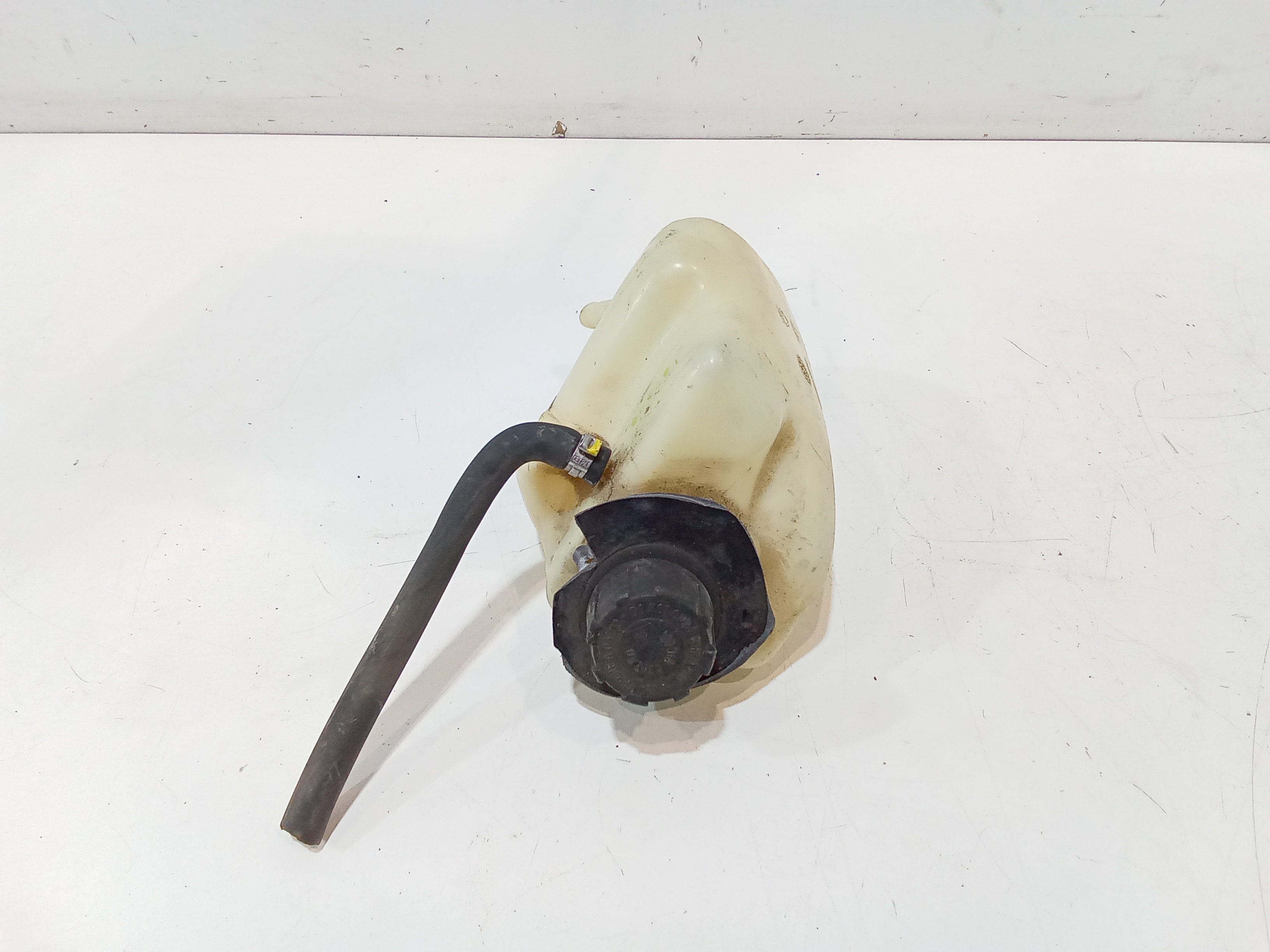 Vaschetta Compensazione Radiatore Usato