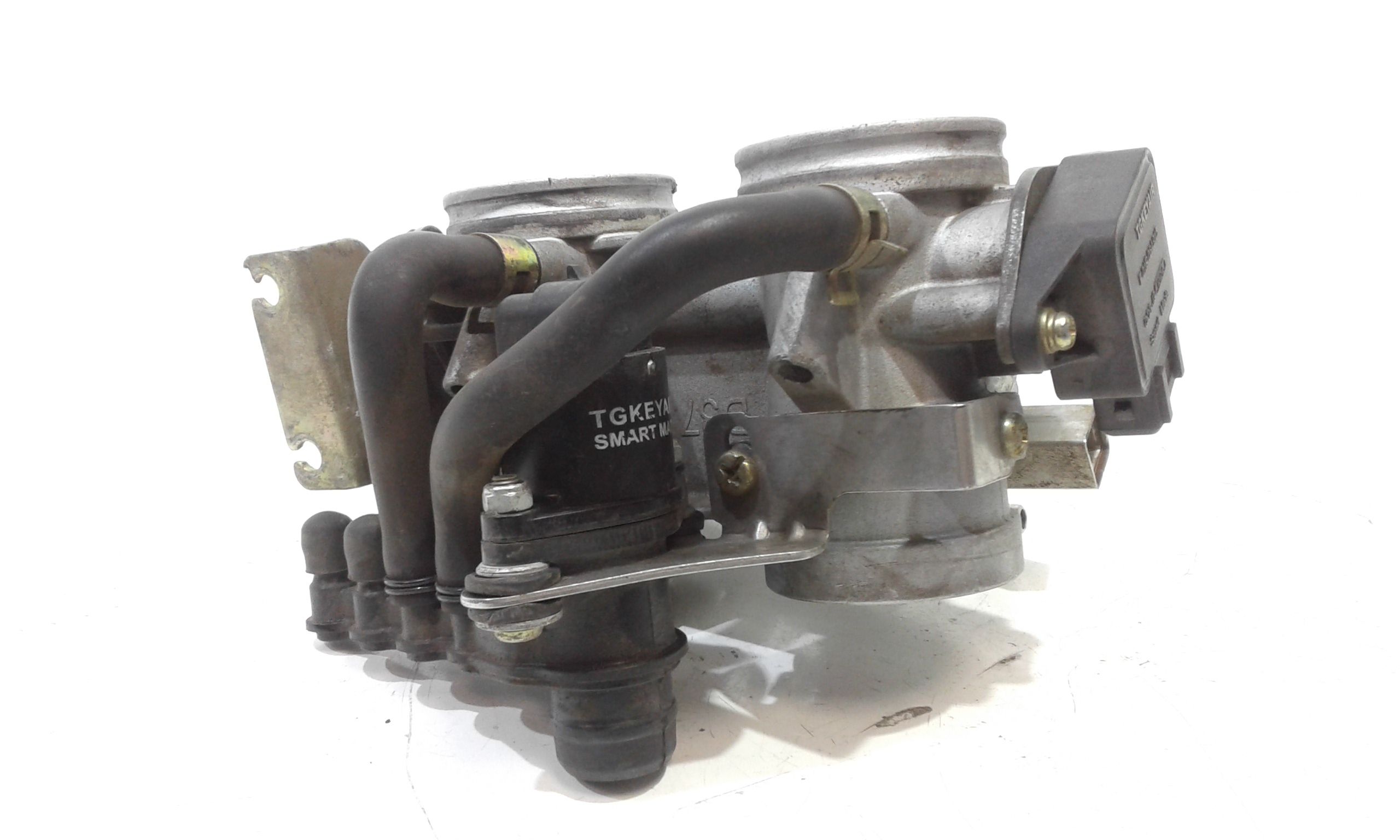 Corpo Farfallato Usato