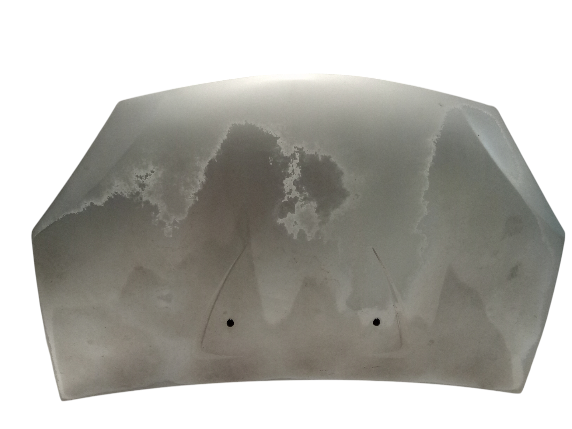 Cofano Ant. 6001551793 Usato