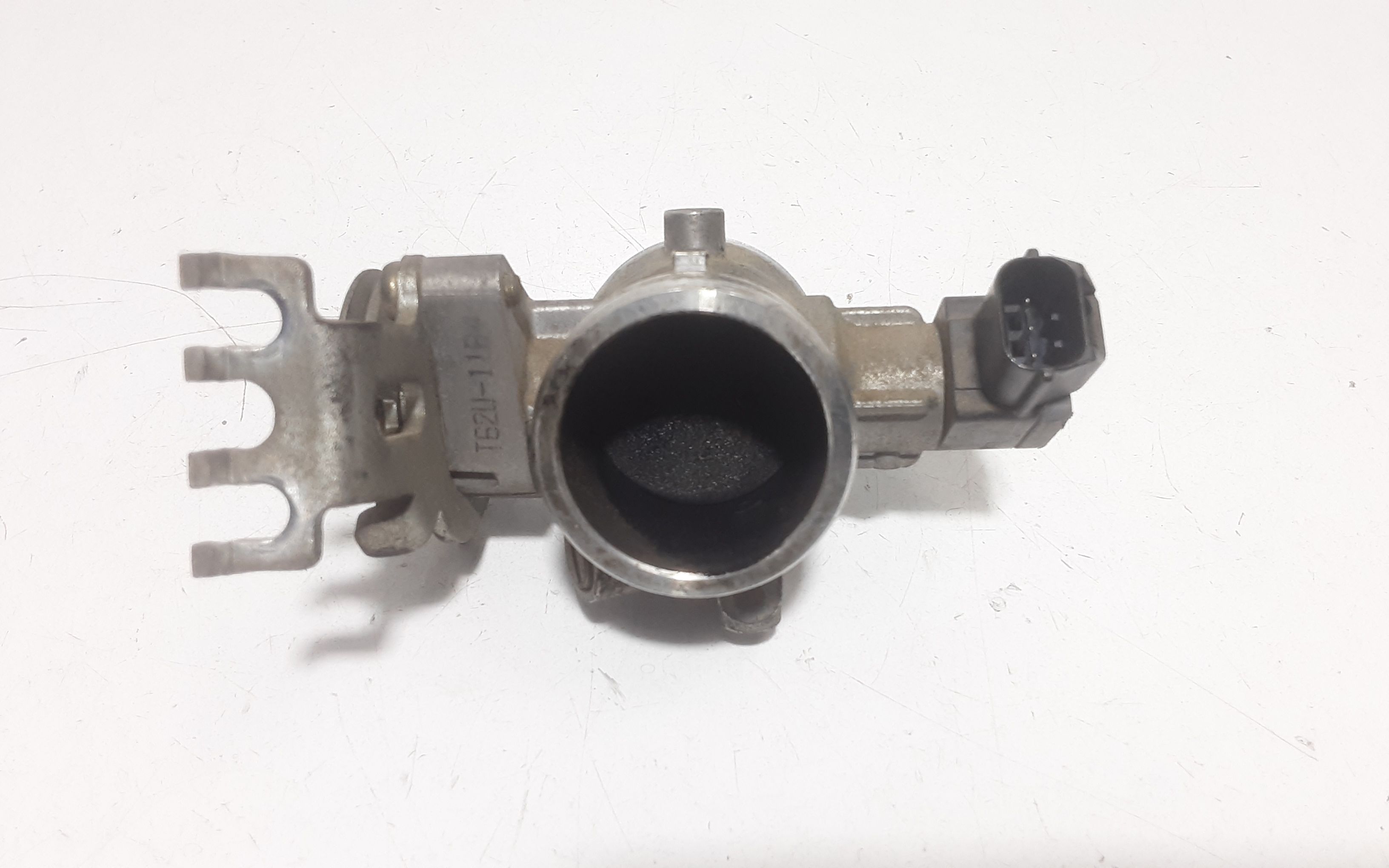 Corpo Farfallato Usato