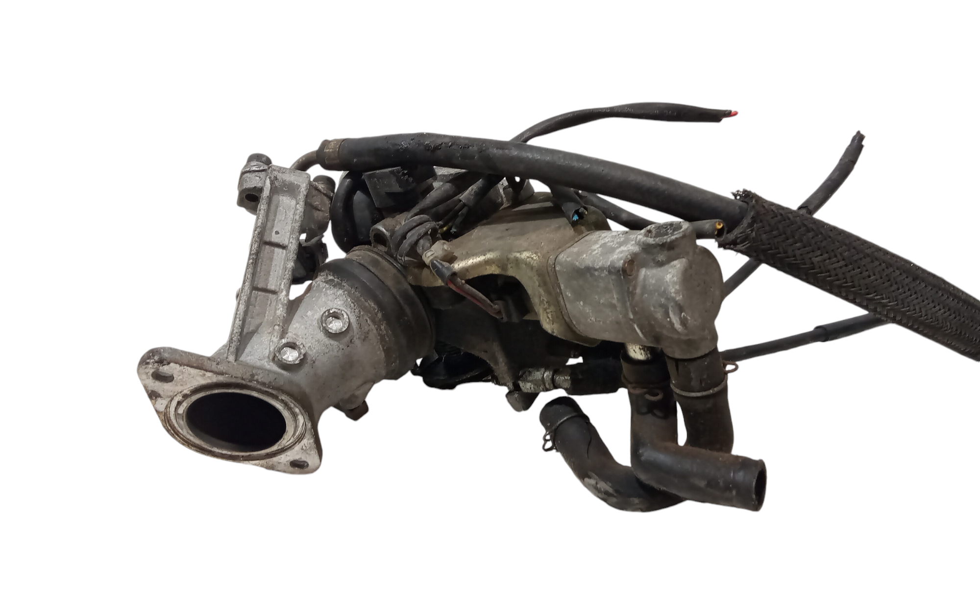 Corpo Farfallato Usato