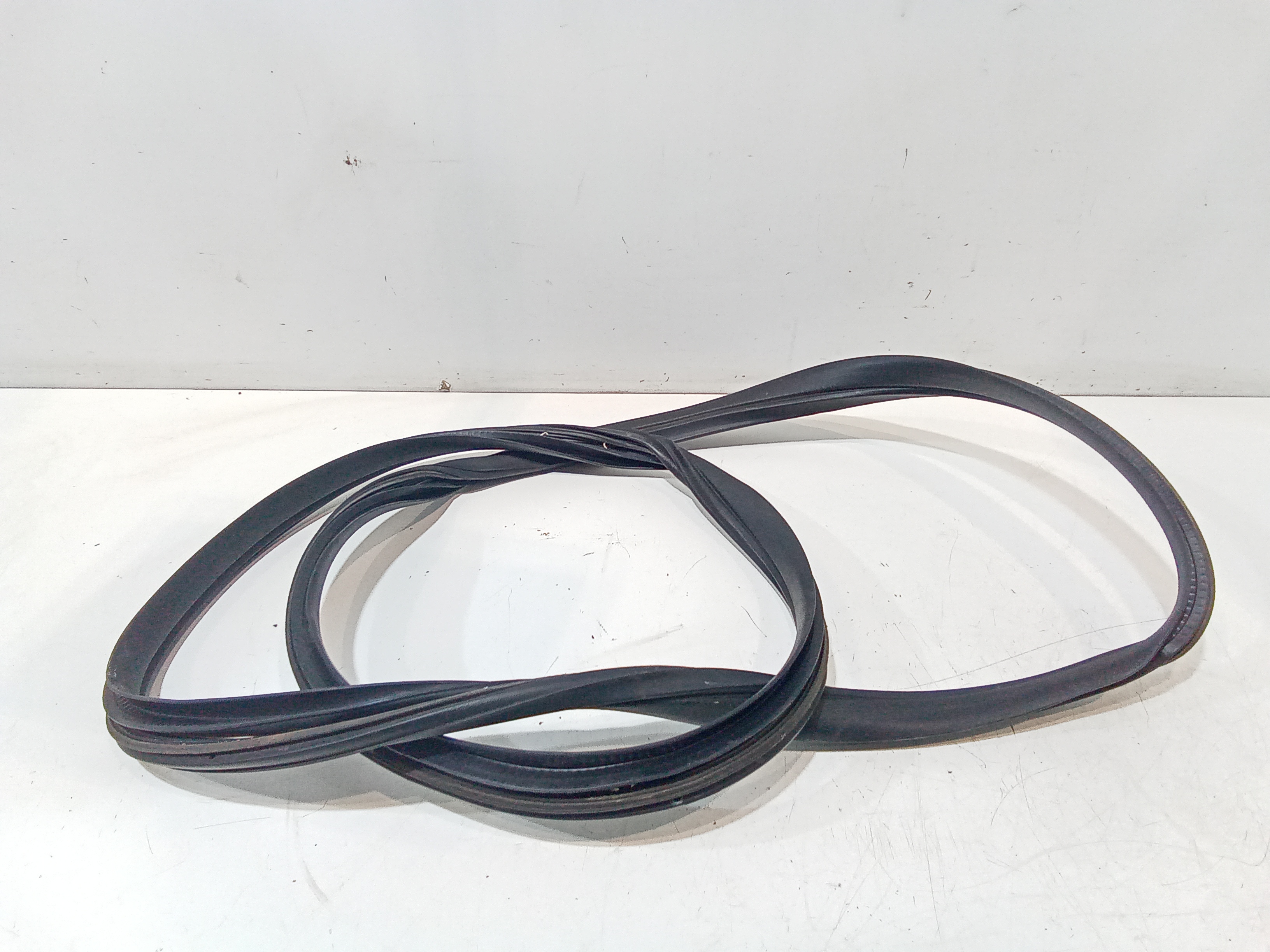 Guarnizione Porta Ant. Usato