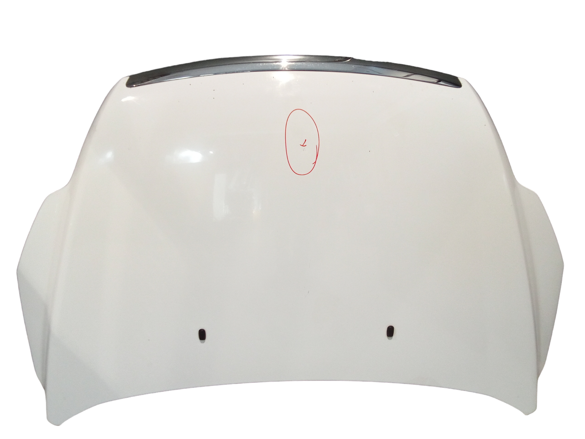 Cofano Ant. 1521601 Usato