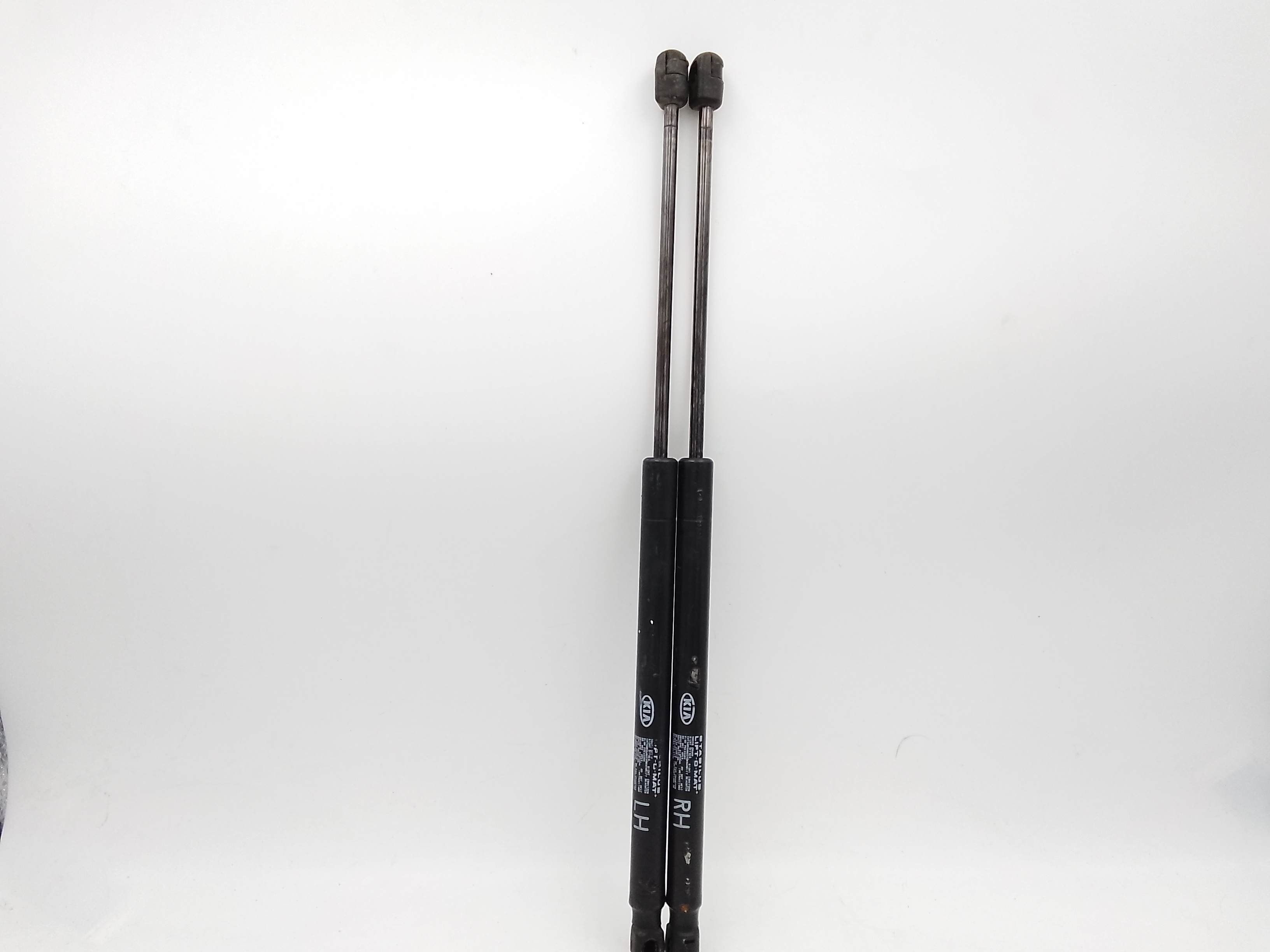 Cerniera Cofano Post. Destro Usato