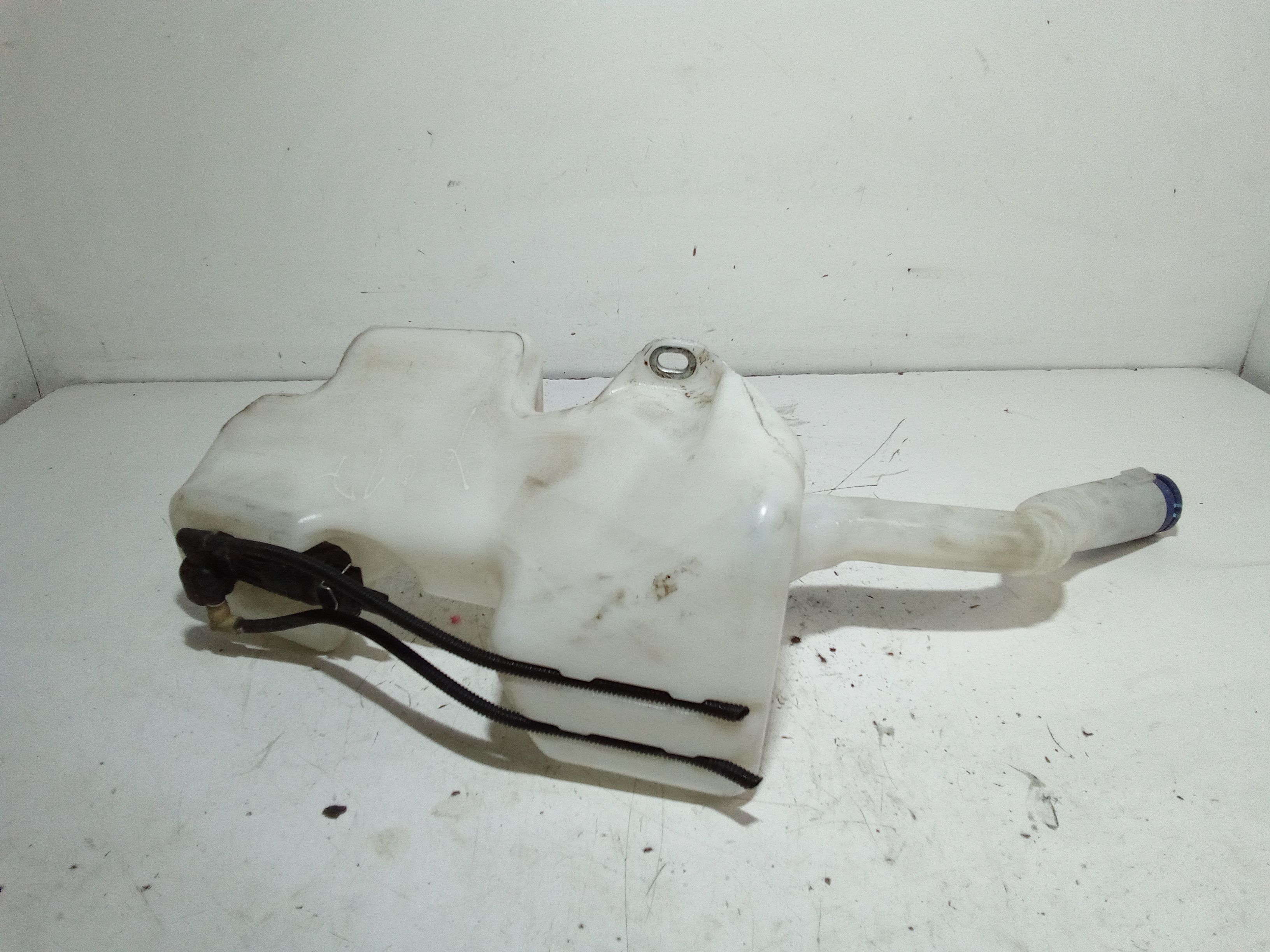 Serbatoio Tergiparabrezza Compl. Usato