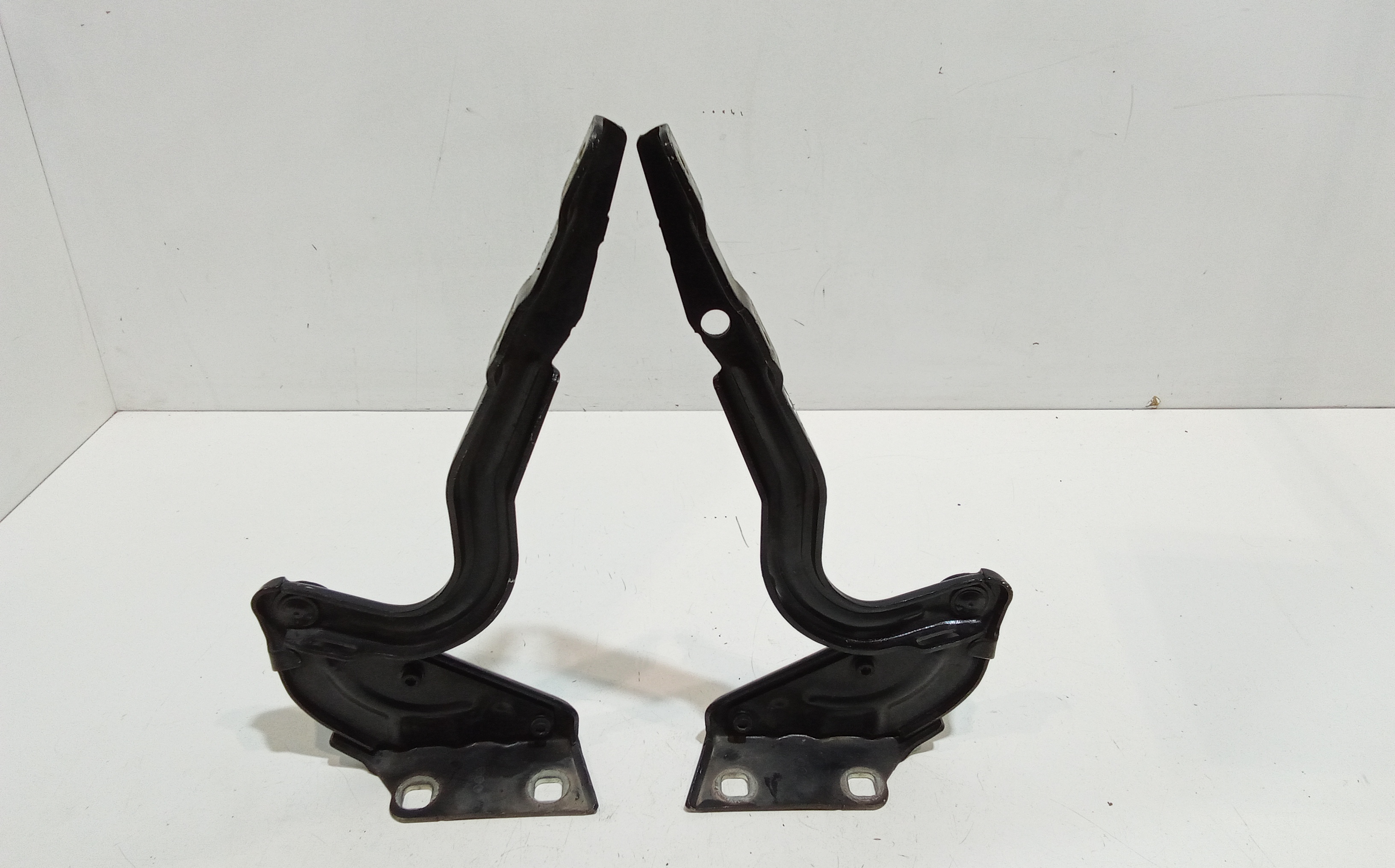 Cerniera Cofano Ant. Sinistro 51835537 Usato