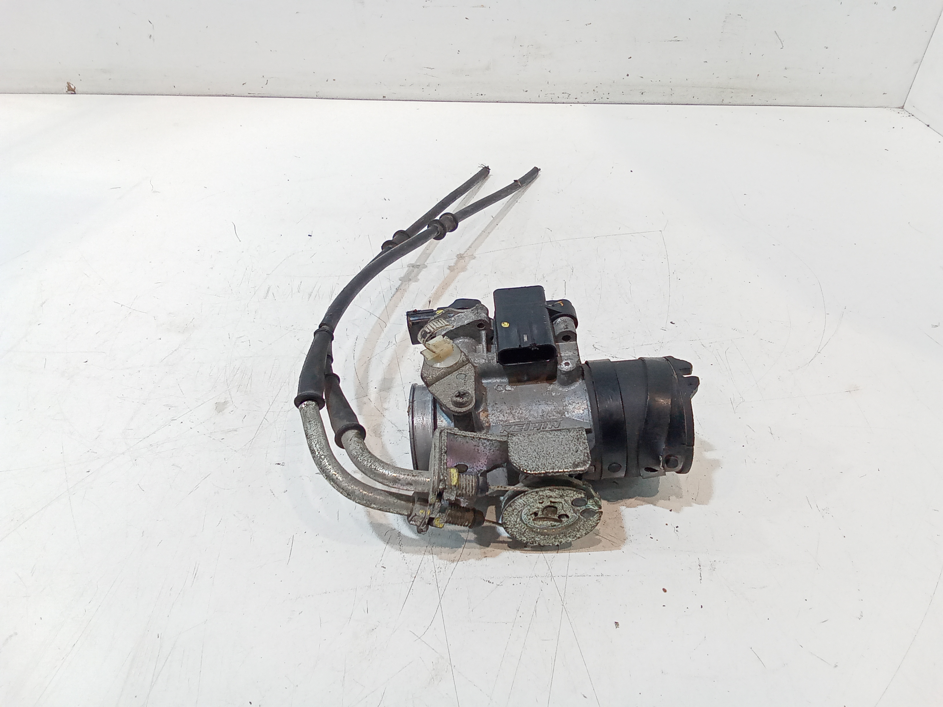 Corpo Farfallato Usato