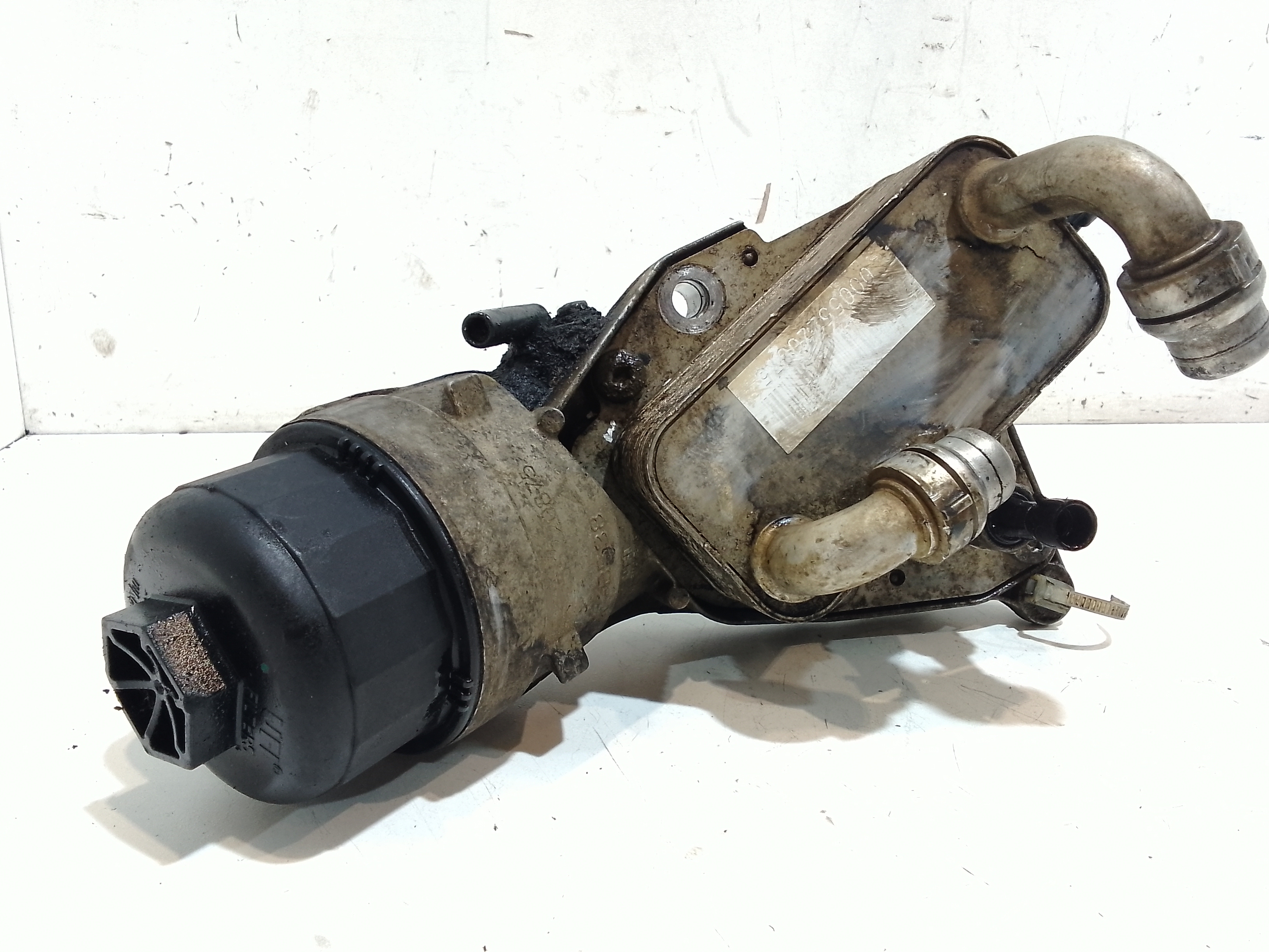 Scambiatore Calore Olio Motore Usato