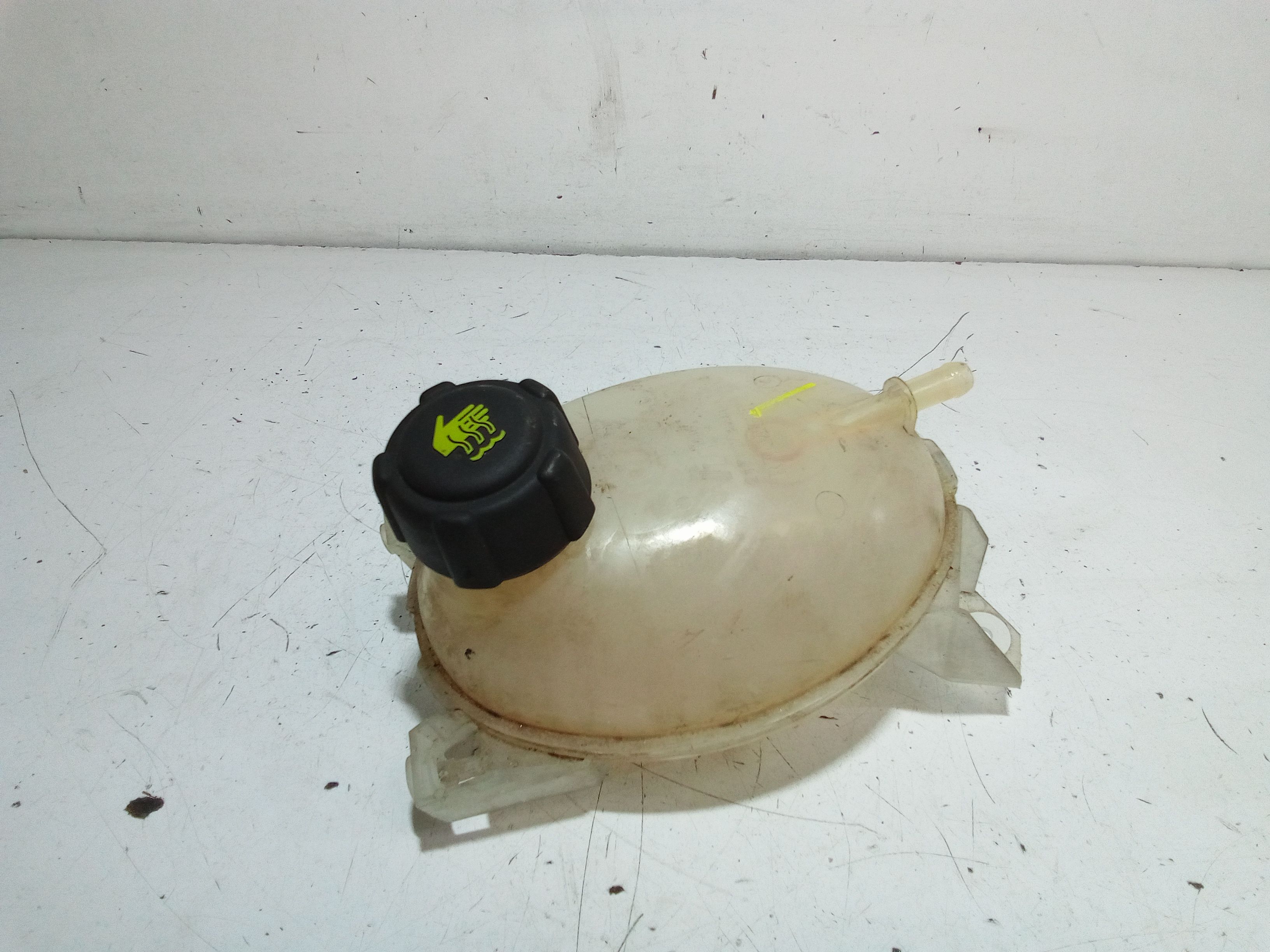 Vaschetta Compensazione Radiatore 217104354R Usato