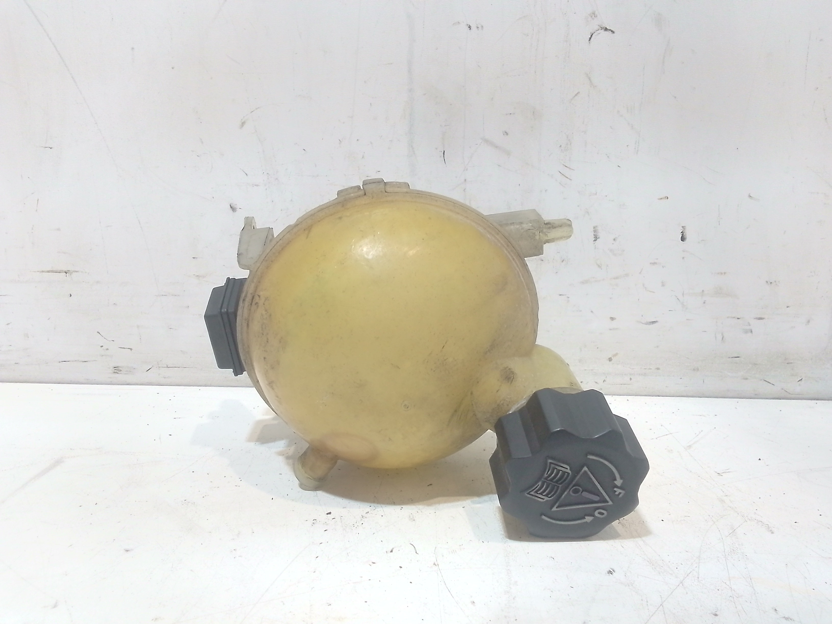 Vaschetta Compensazione Radiatore 1307WK Usato