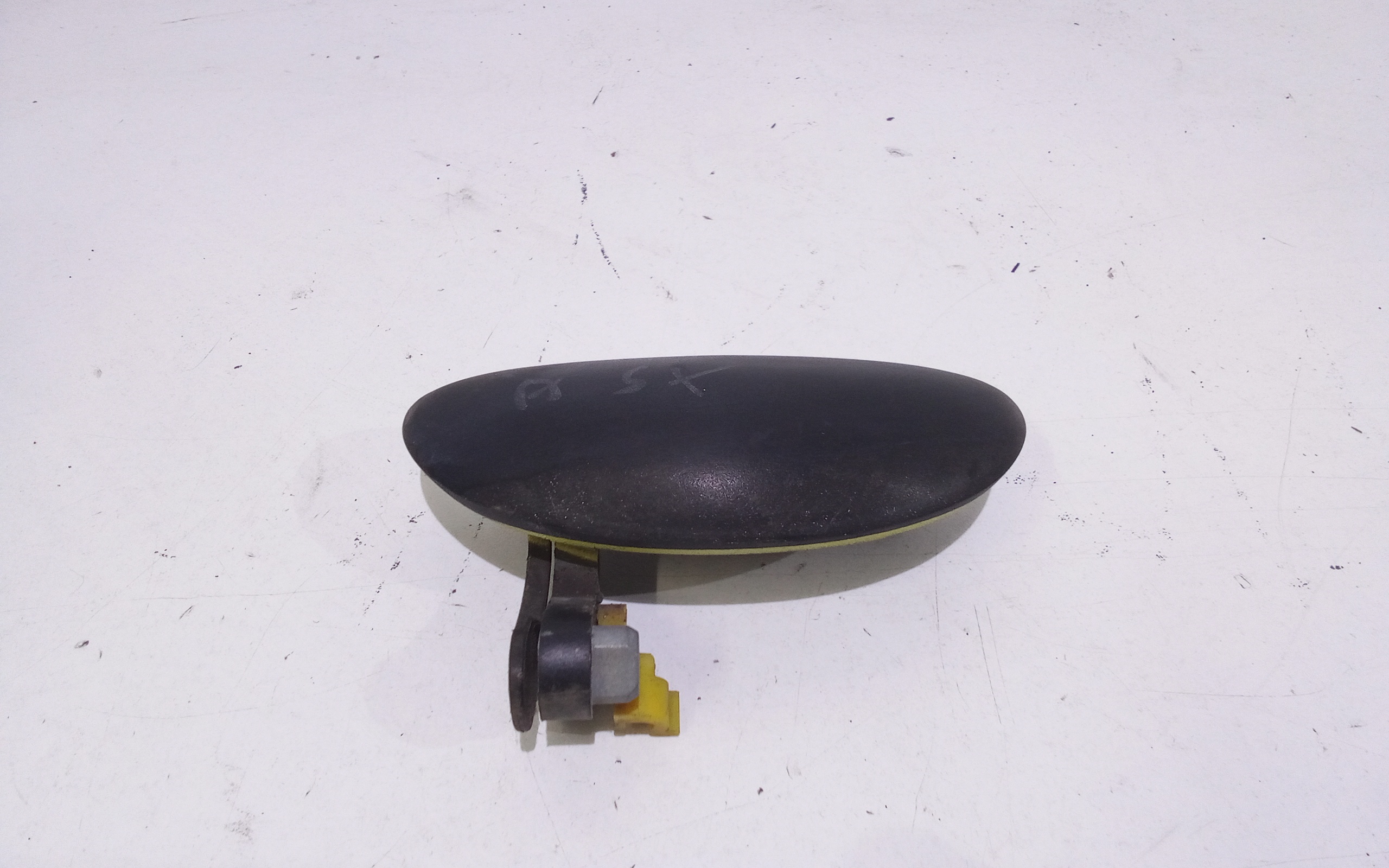 Maniglia Porta Ant. Sinistro 9101AJ Usato