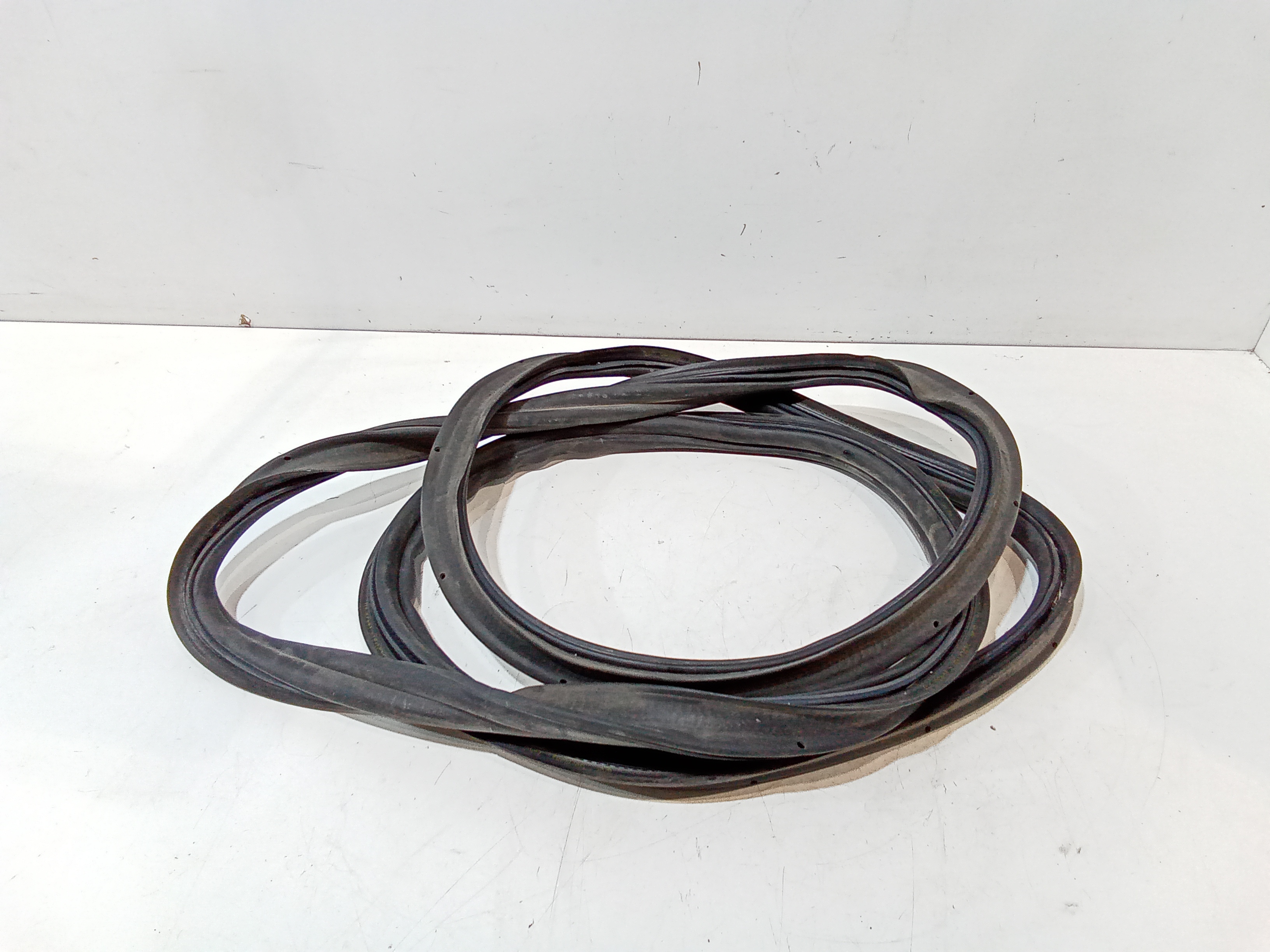 Guarnizione Porta Ant. Usato