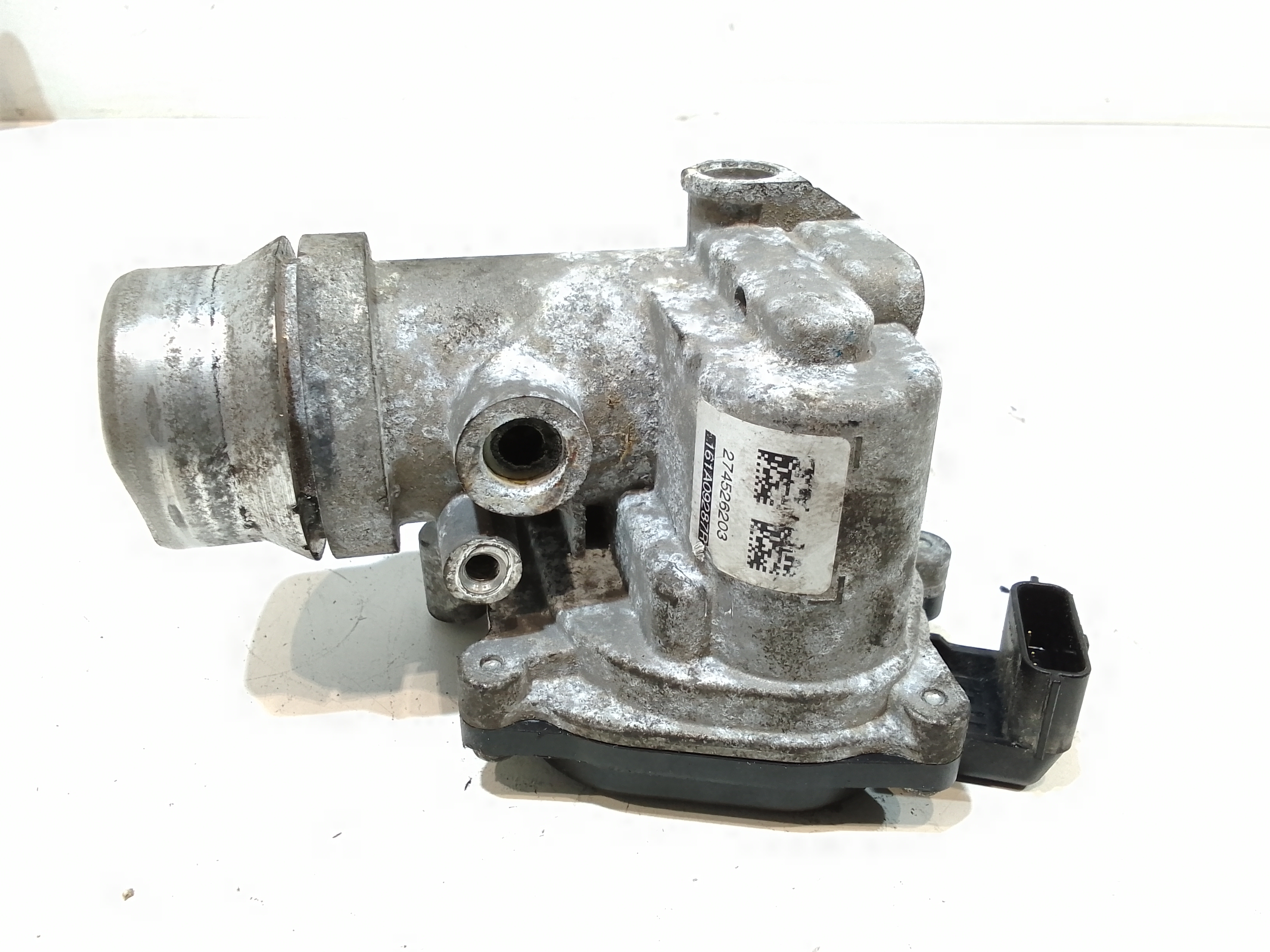 Corpo Farfallato 161206038R Usato