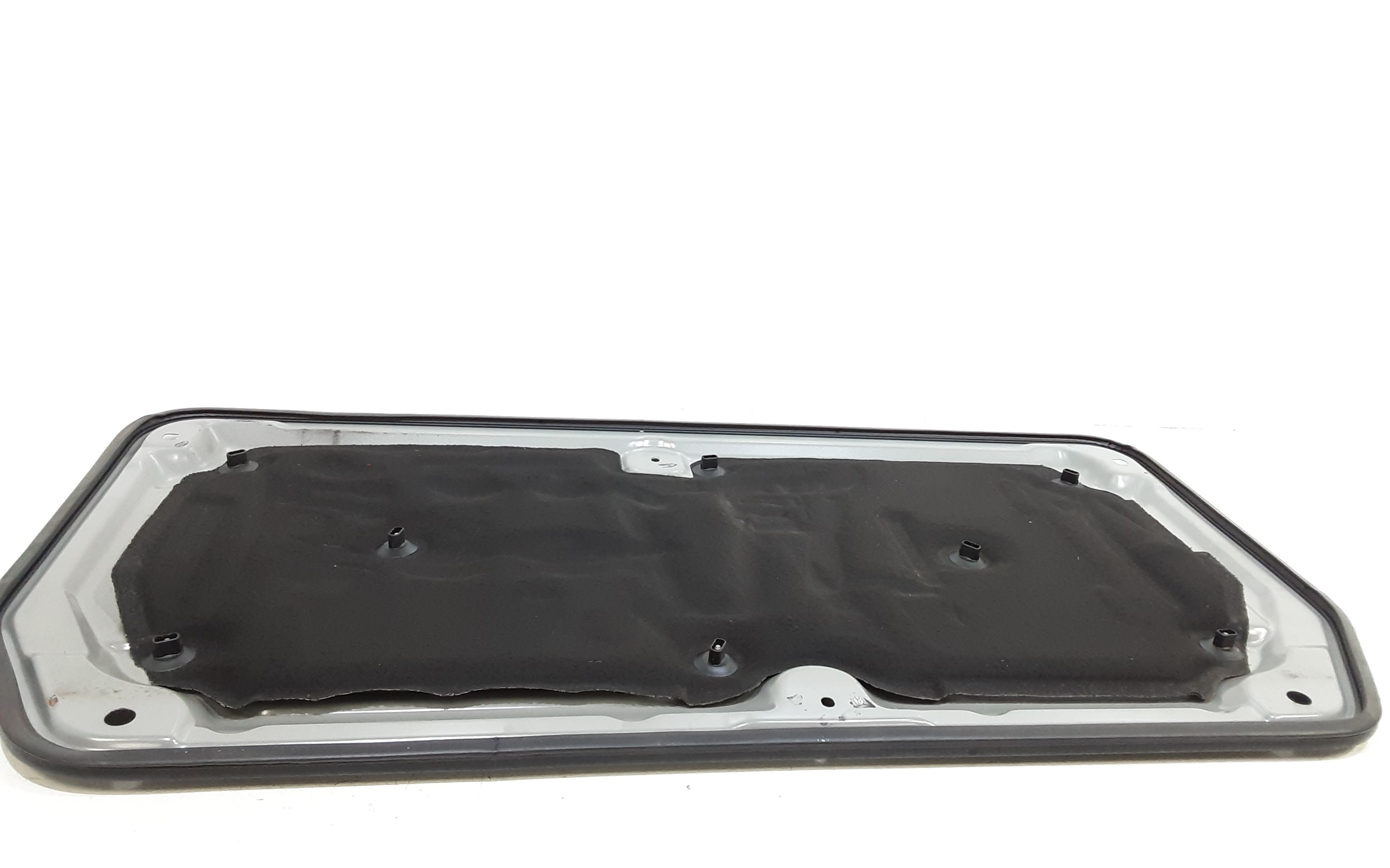 Paratia Vano Motore/abitacolo Usato