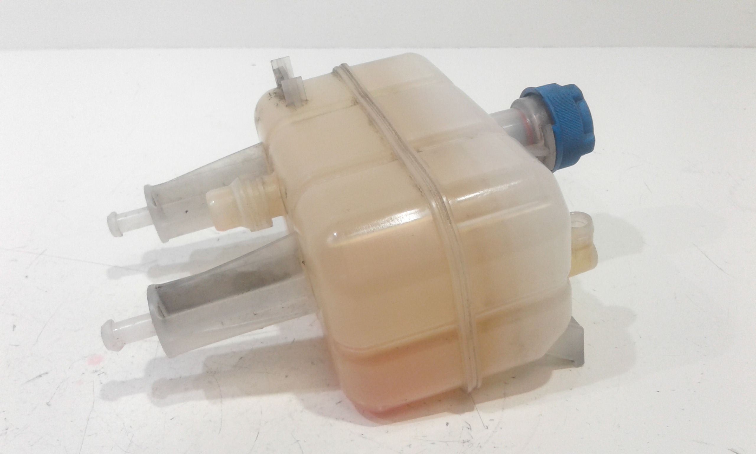 Vaschetta Compensazione Radiatore 1399839080 Usato