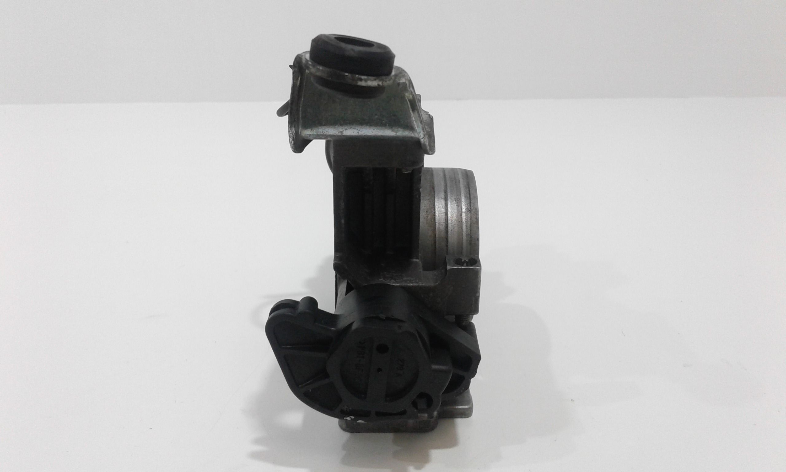 Corpo Farfallato 77365779 Usato