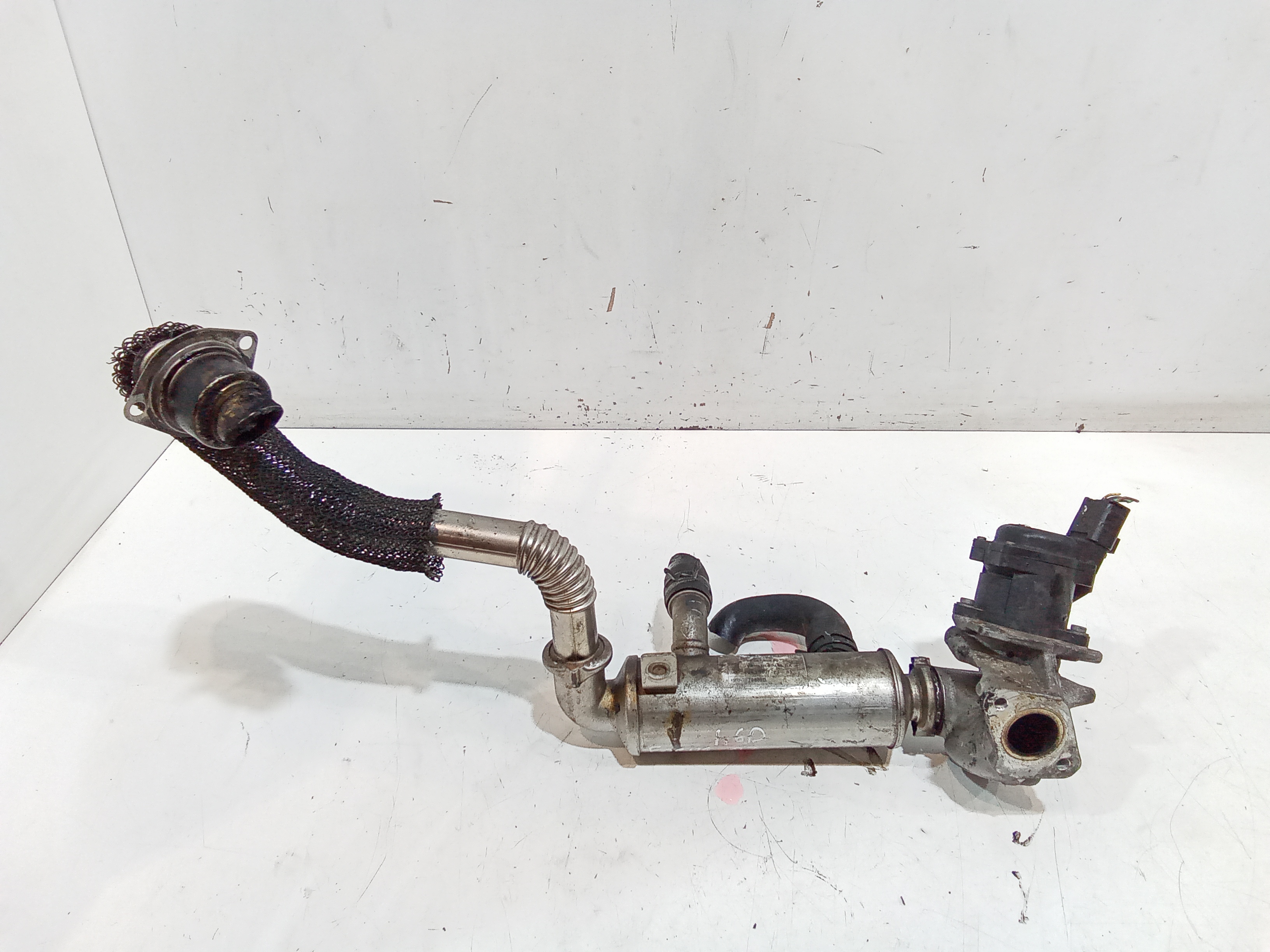 Scambiatore Calore Olio Motore, Scambiatore Calore Egr Usato