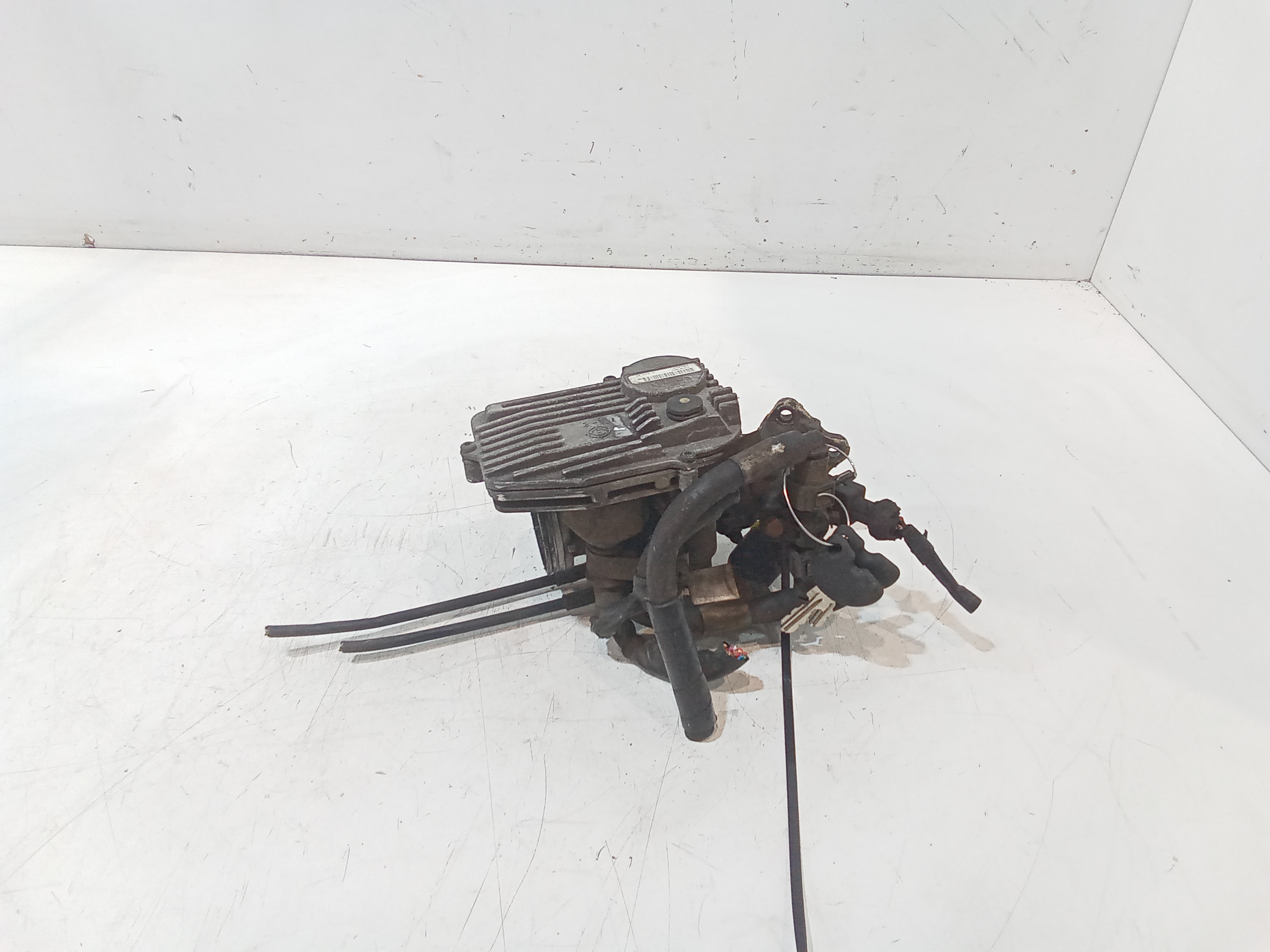 Corpo Farfallato Usato