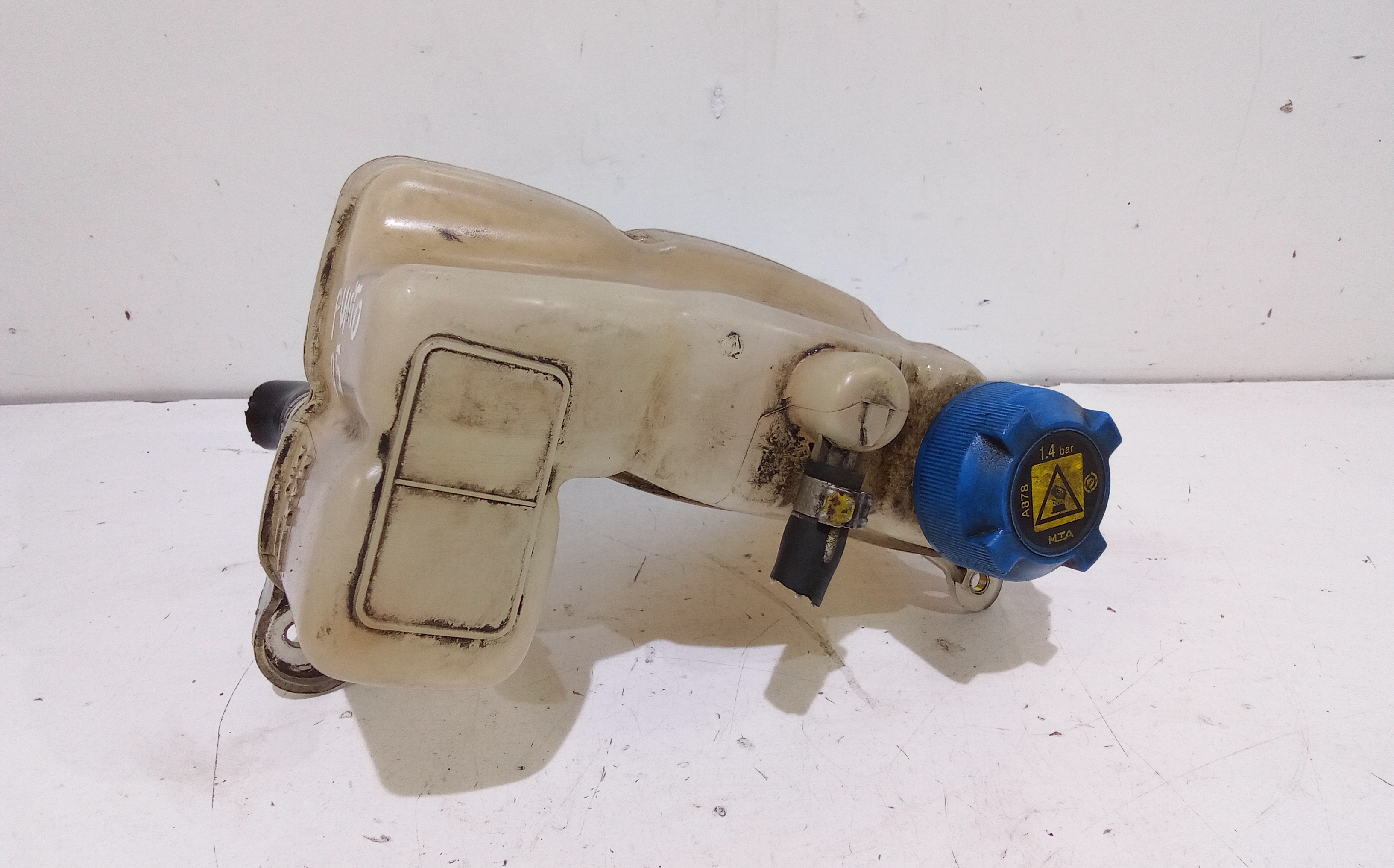 Vaschetta Compensazione Radiatore Usato