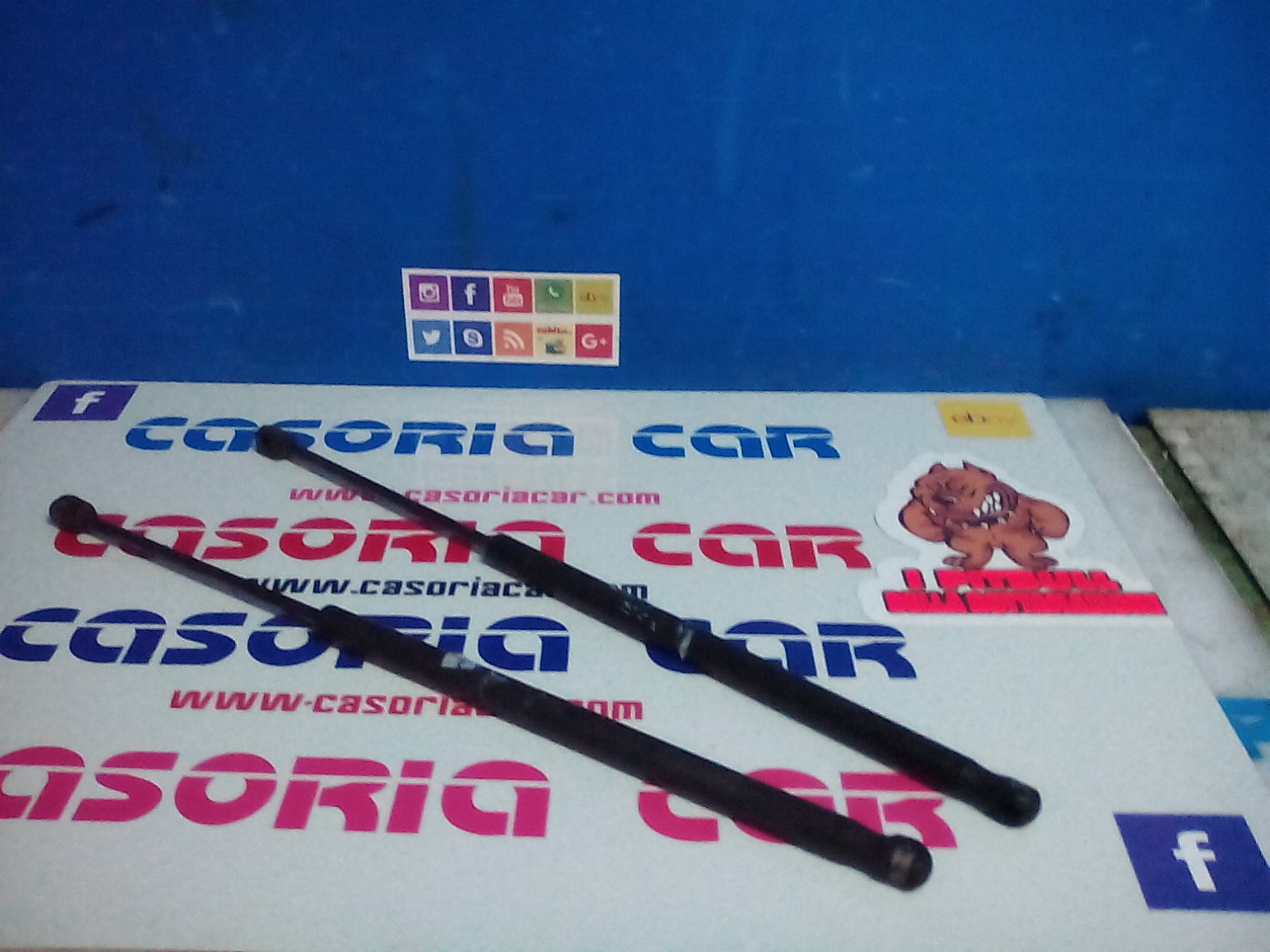 Cerniera Cofano Post. Destro Usato