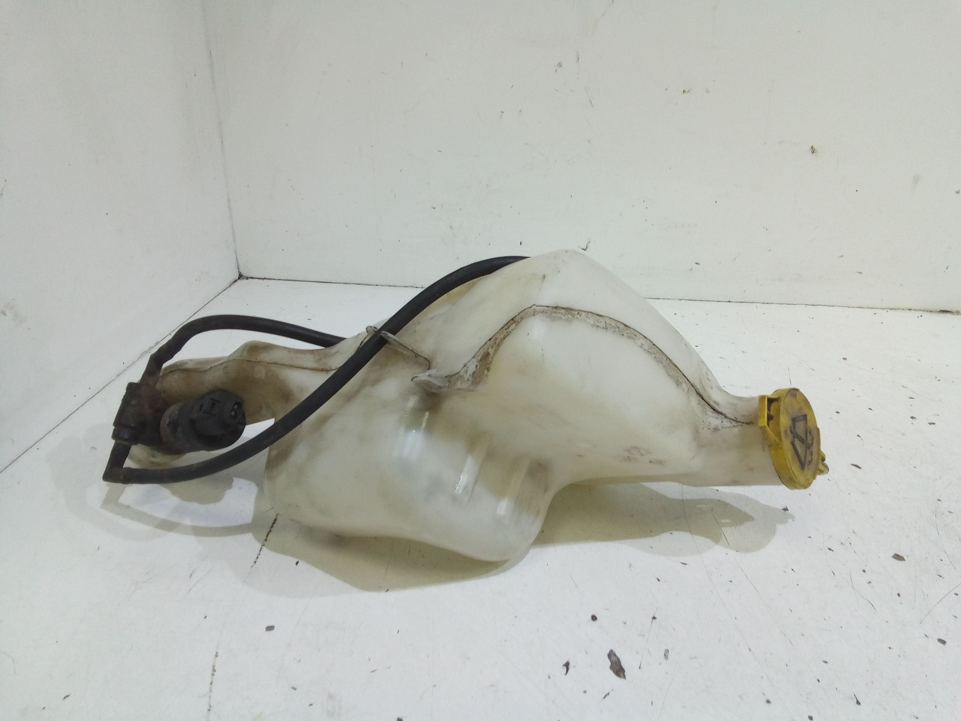 Serbatoio Tergiparabrezza Compl. Usato