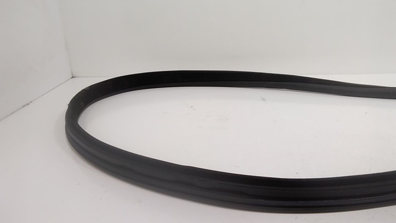 Guarnizione Porta Ant. Usato