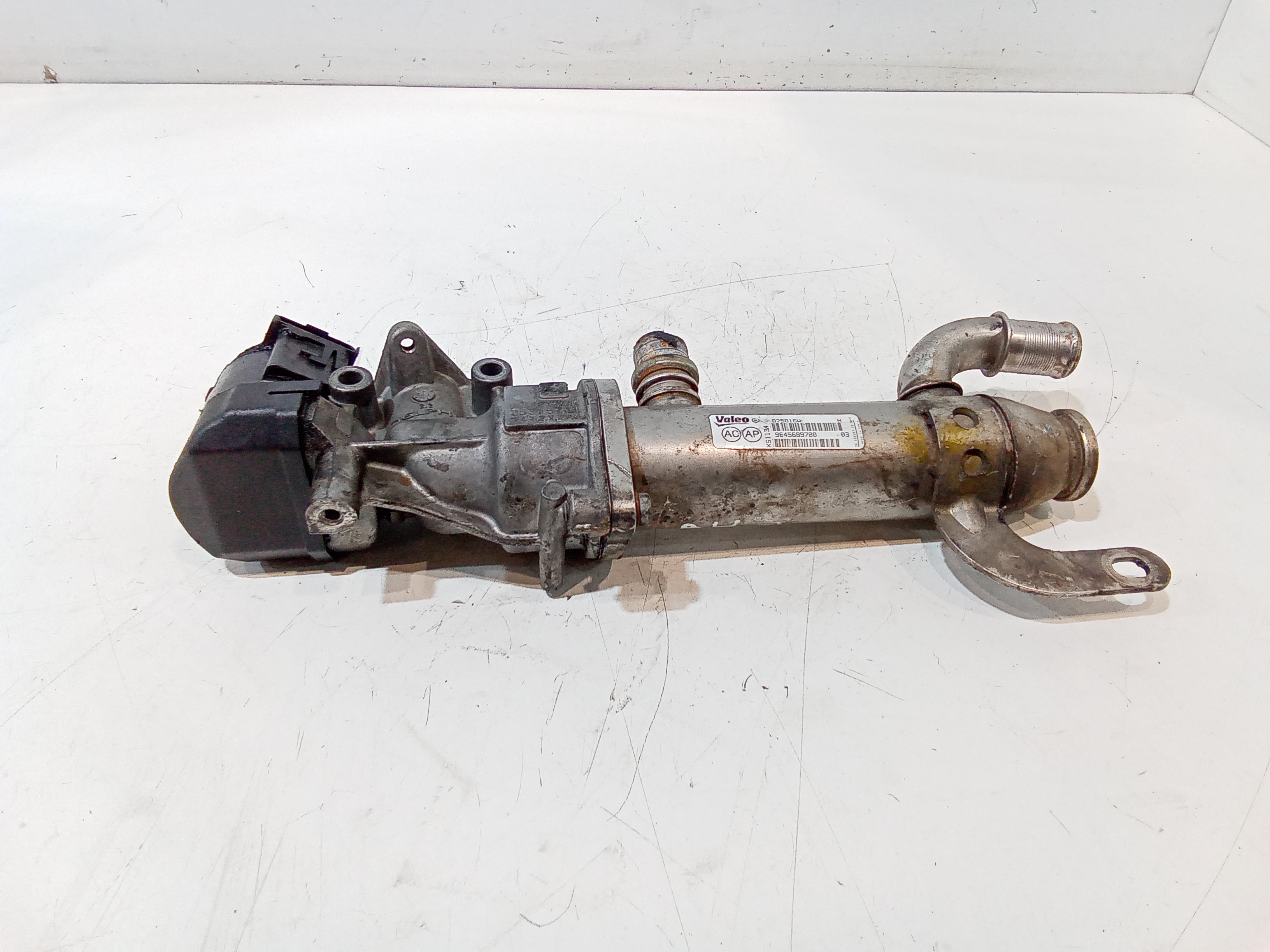 Scambiatore Calore Egr Usato