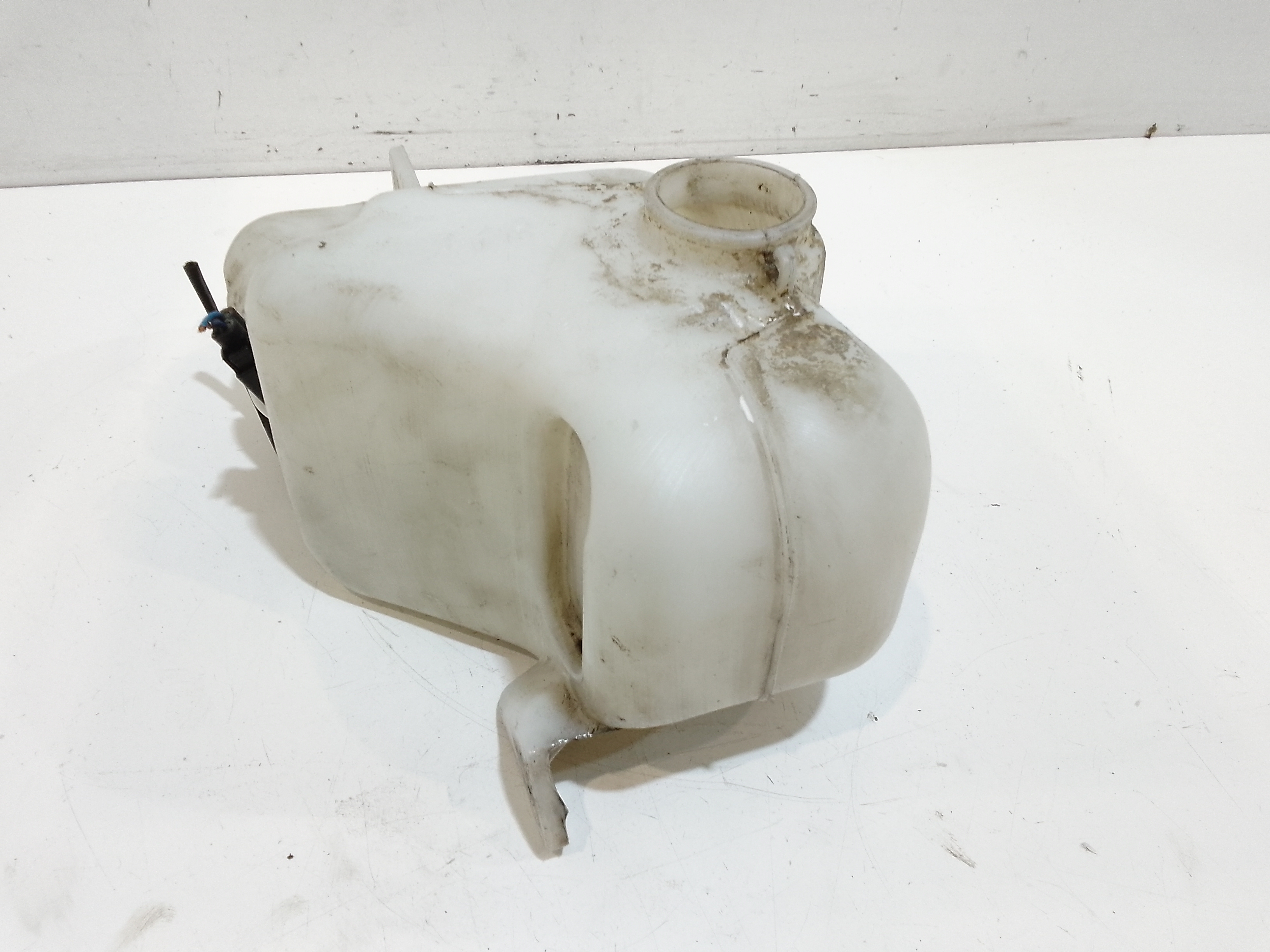 Serbatoio Tergiparabrezza Compl. Usato