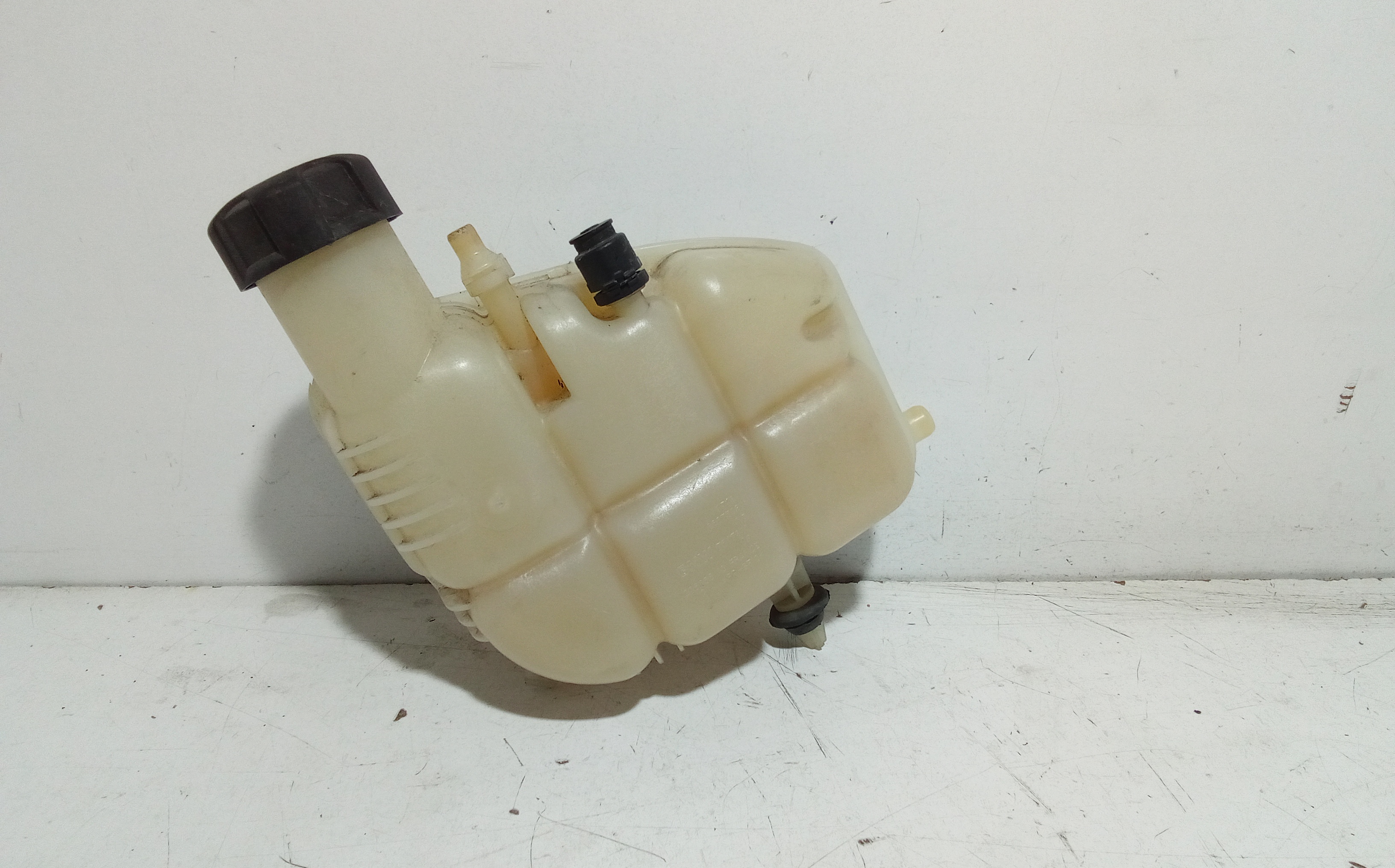 Vaschetta Compensazione Radiatore 17138687503 Usato