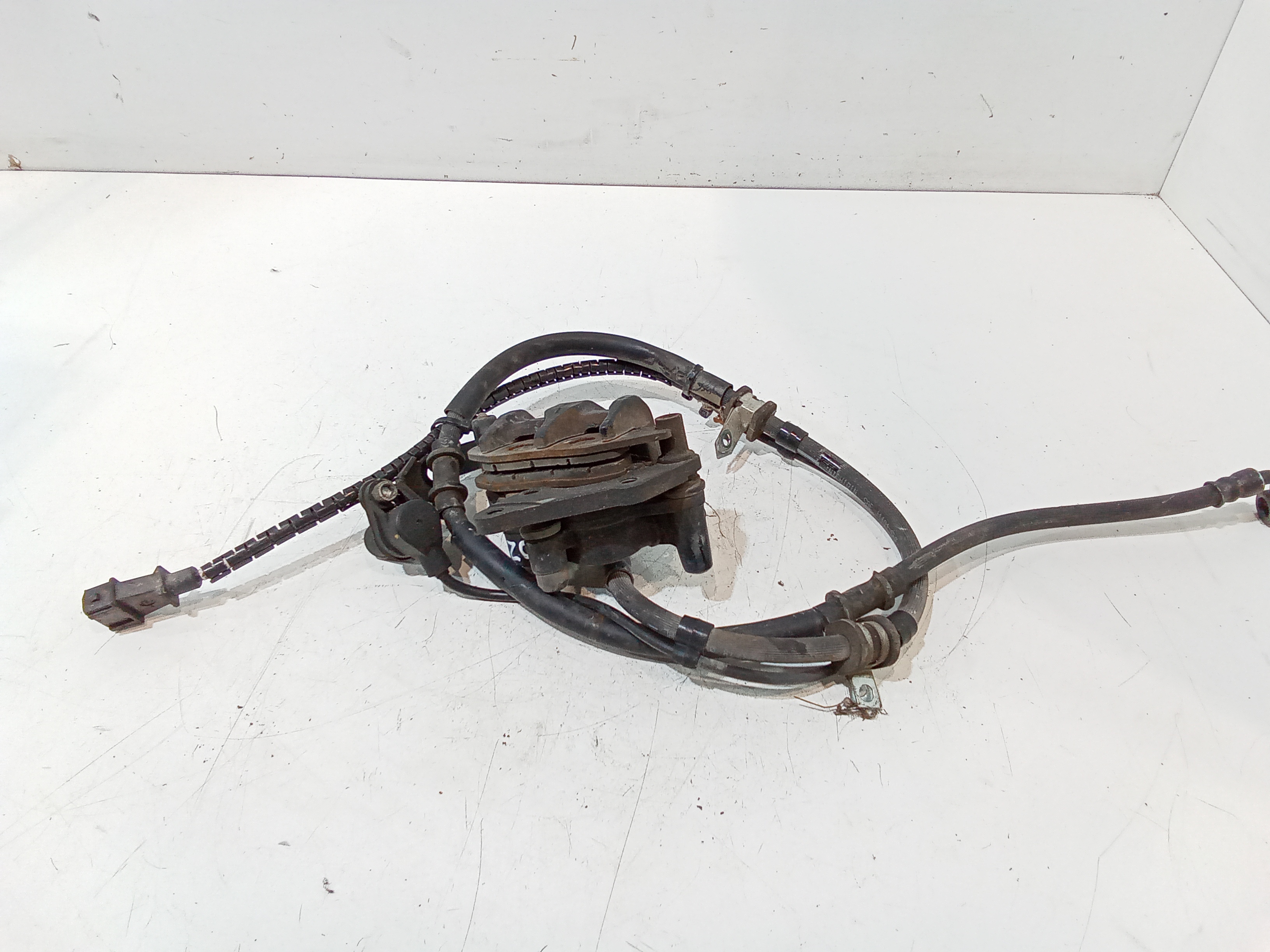 Pinza Freno Anteriore Usato