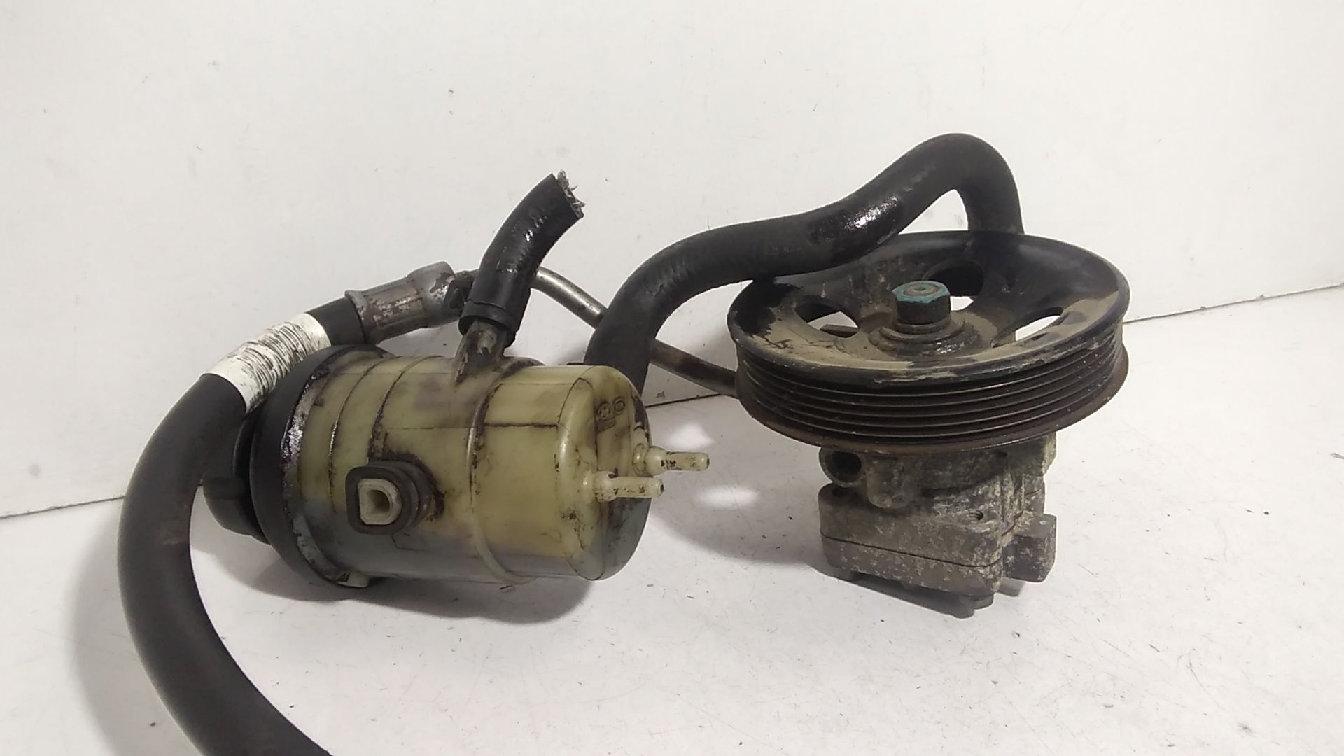 Pompa Servosterzo 571002P210 Usato