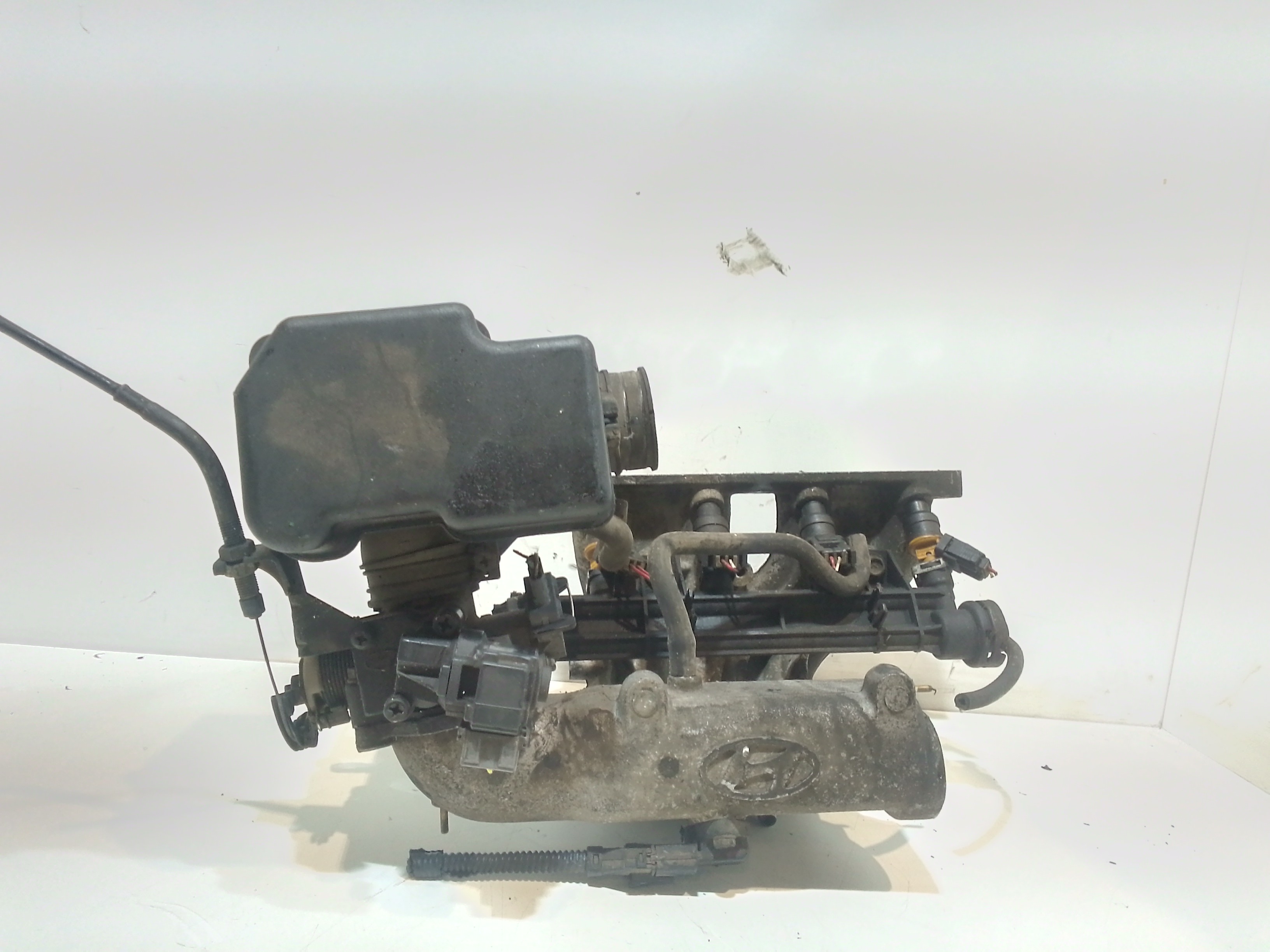 Collettore Aspirazione 2831002560 Usato