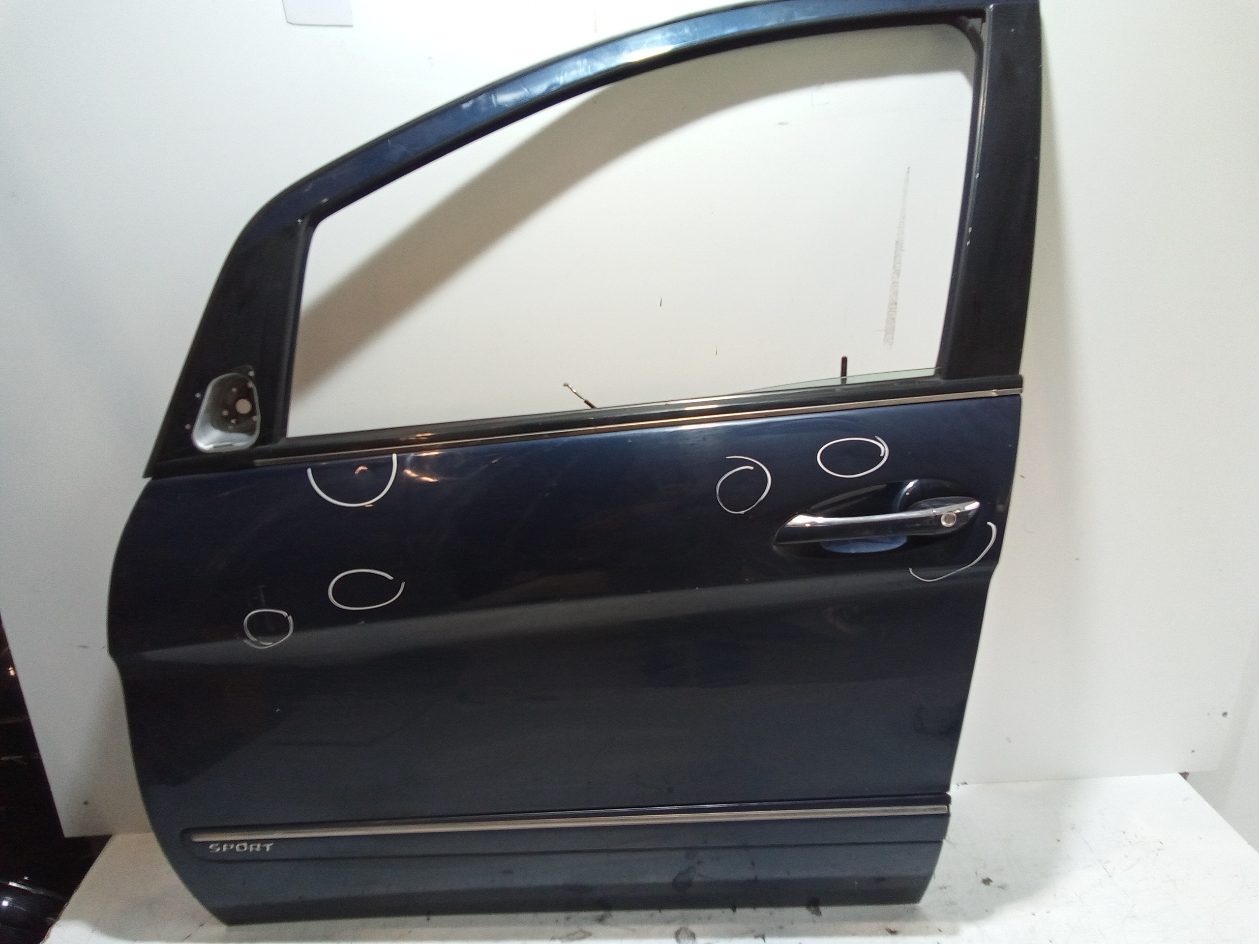 Porta Ant. Sinistro A1697202105 Usato