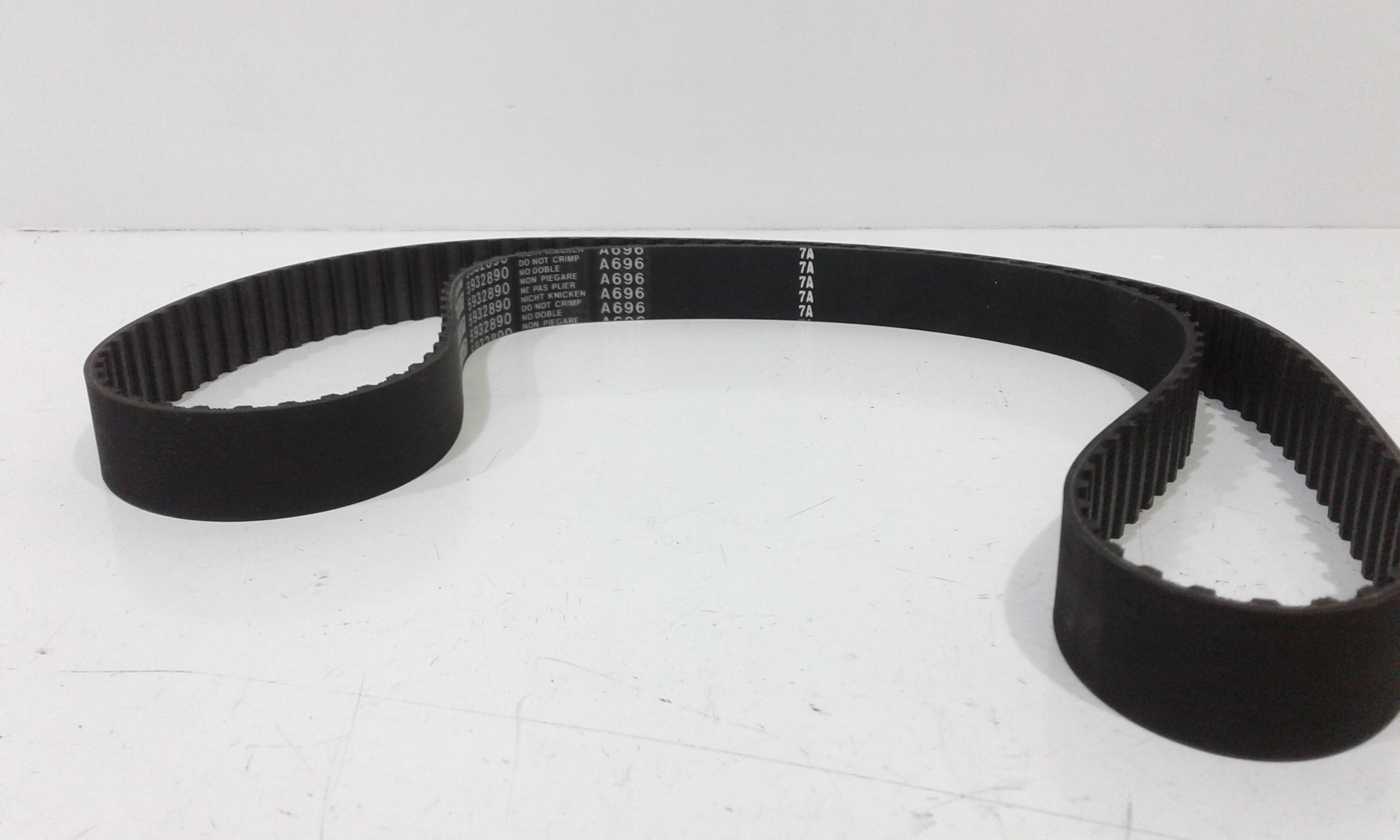 Cinghia Distribuzione Usato